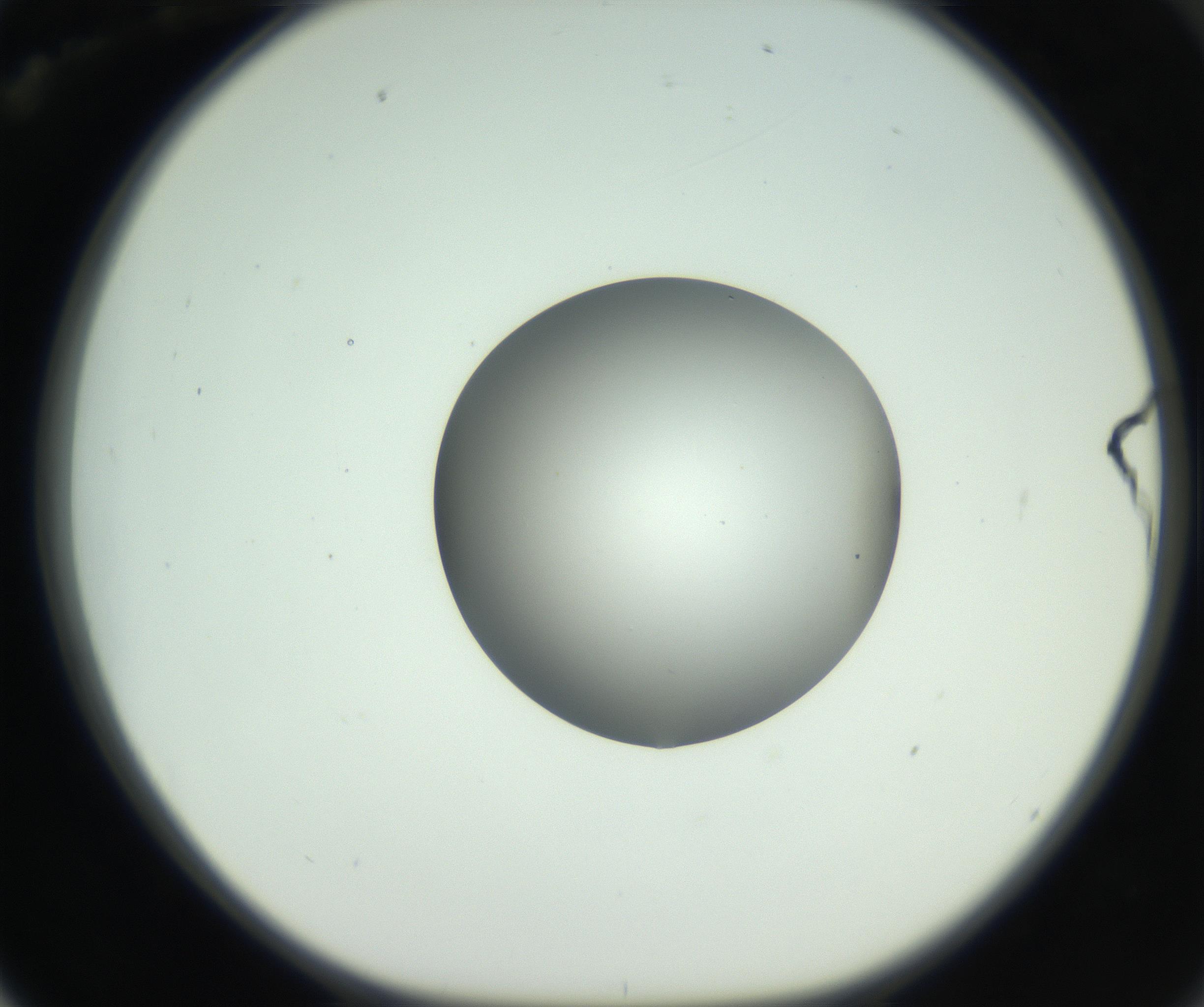 RI01_03_000_0212_Proj1_Clon1_MC_0000MC102746_005_160927_02_06_01_00_99_002_001_RAI.jpg