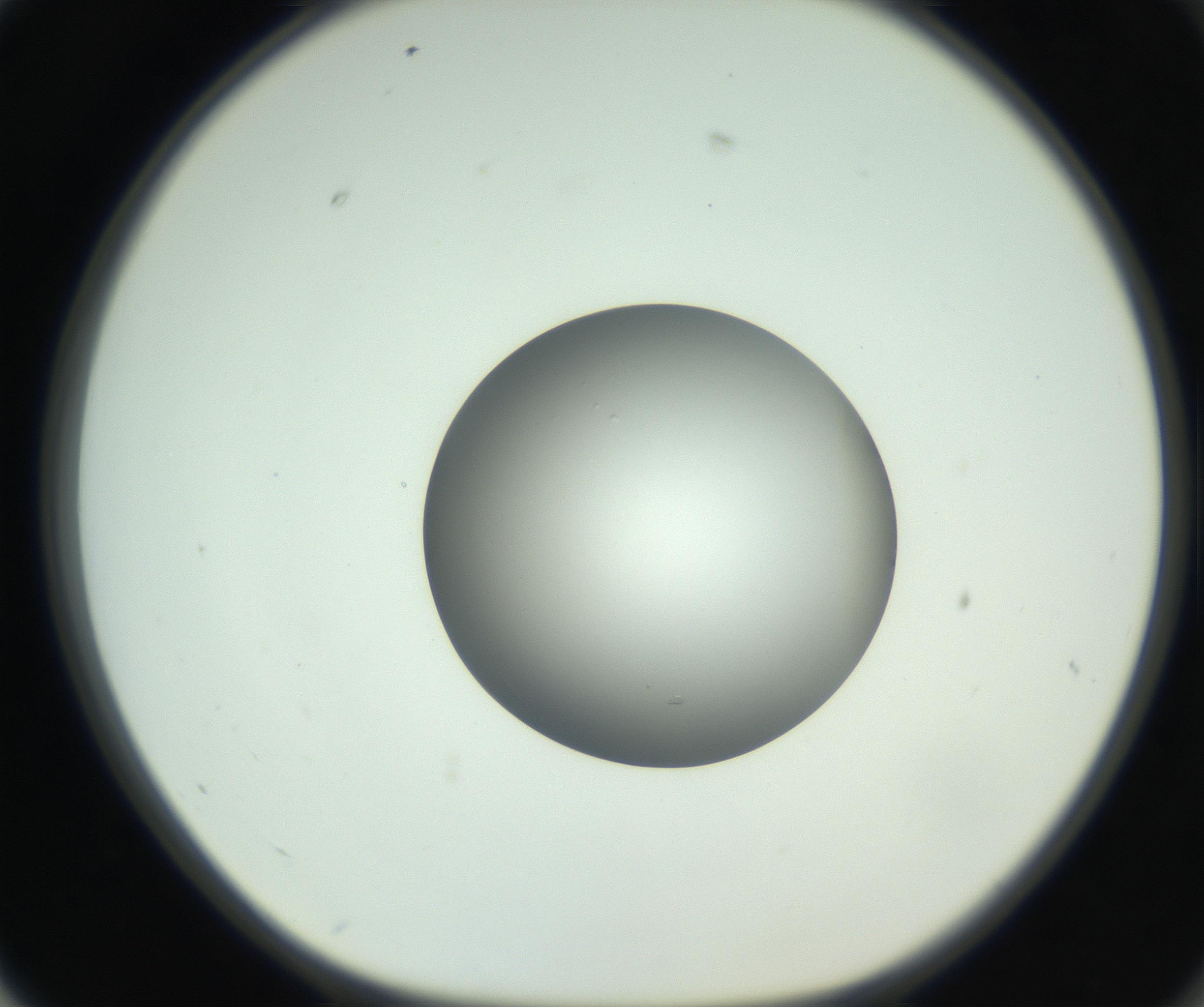 RI01_03_000_0212_Proj1_Clon1_MC_0000MC102746_005_160927_02_07_01_00_99_002_001_RAI.jpg