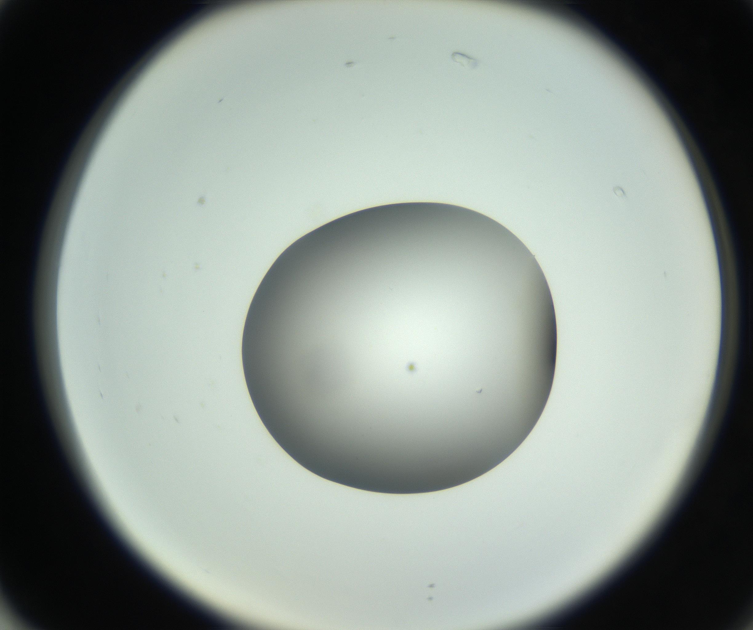 RI01_03_000_0212_Proj1_Clon1_MC_0000MC102746_005_160927_02_07_02_00_99_002_001_RAI.jpg