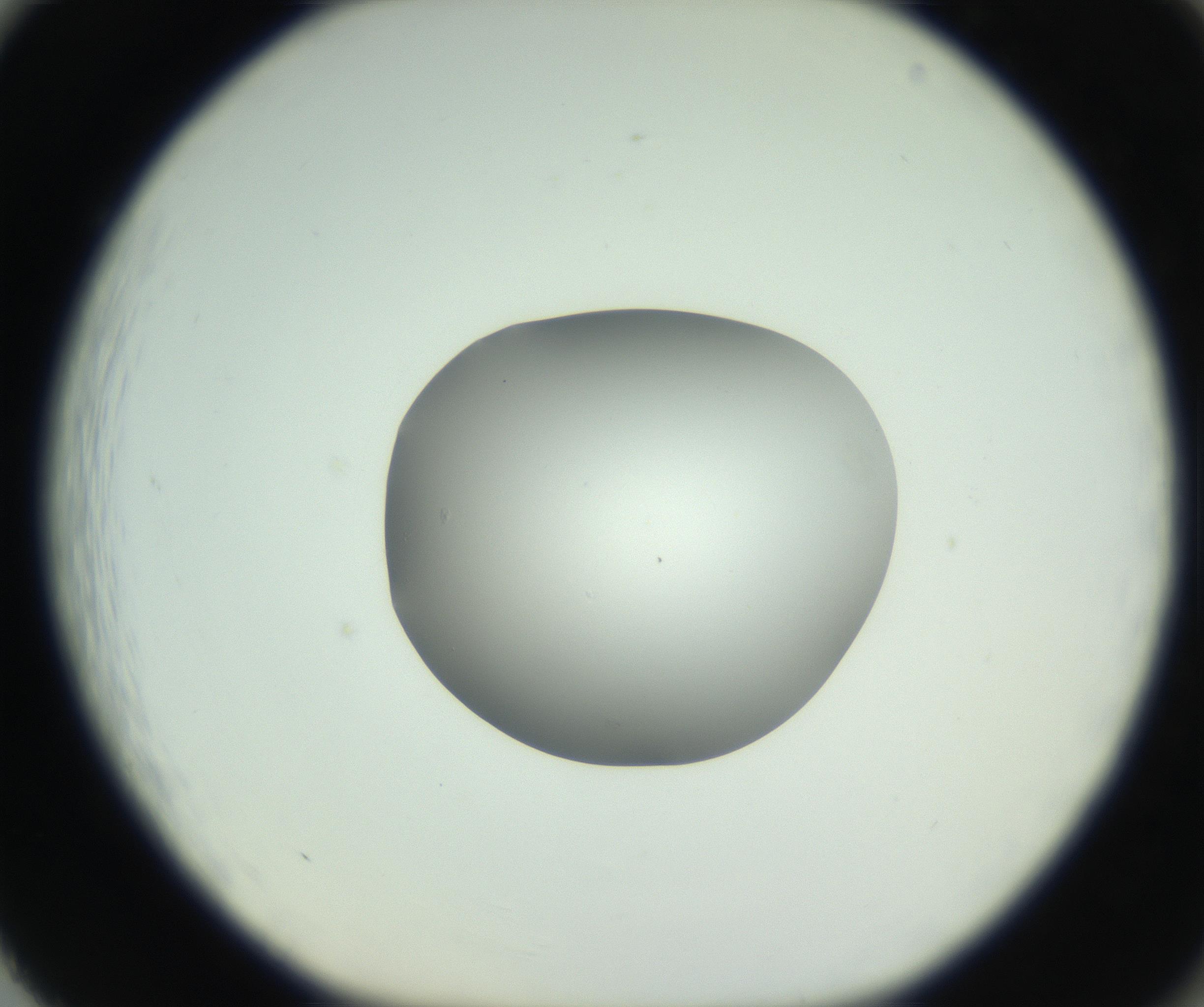 RI01_03_000_0212_Proj1_Clon1_MC_0000MC102746_005_160927_02_08_01_00_99_002_001_RAI.jpg