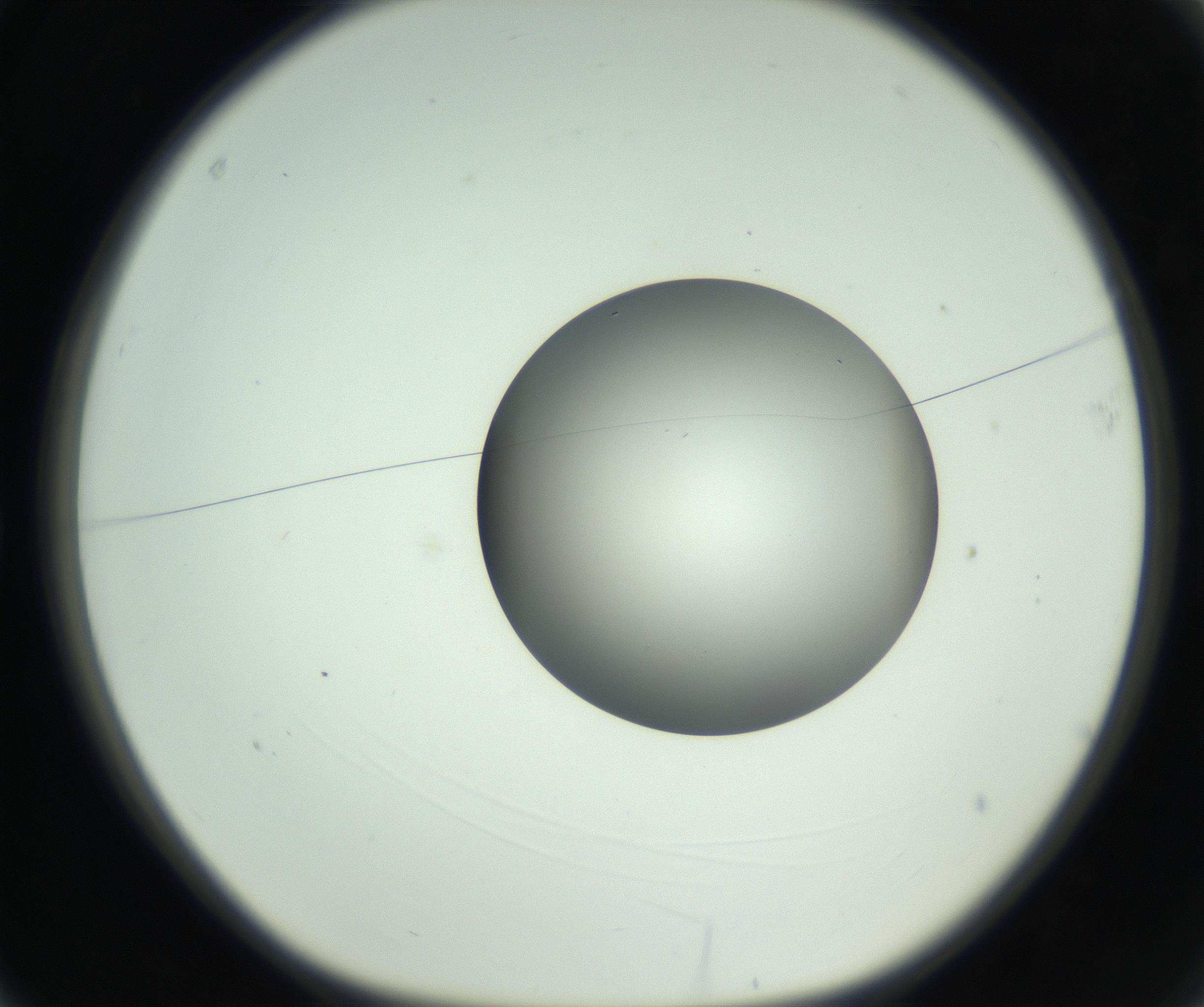 RI01_03_000_0212_Proj1_Clon1_MC_0000MC102746_005_160927_03_01_01_00_99_002_001_RAI.jpg