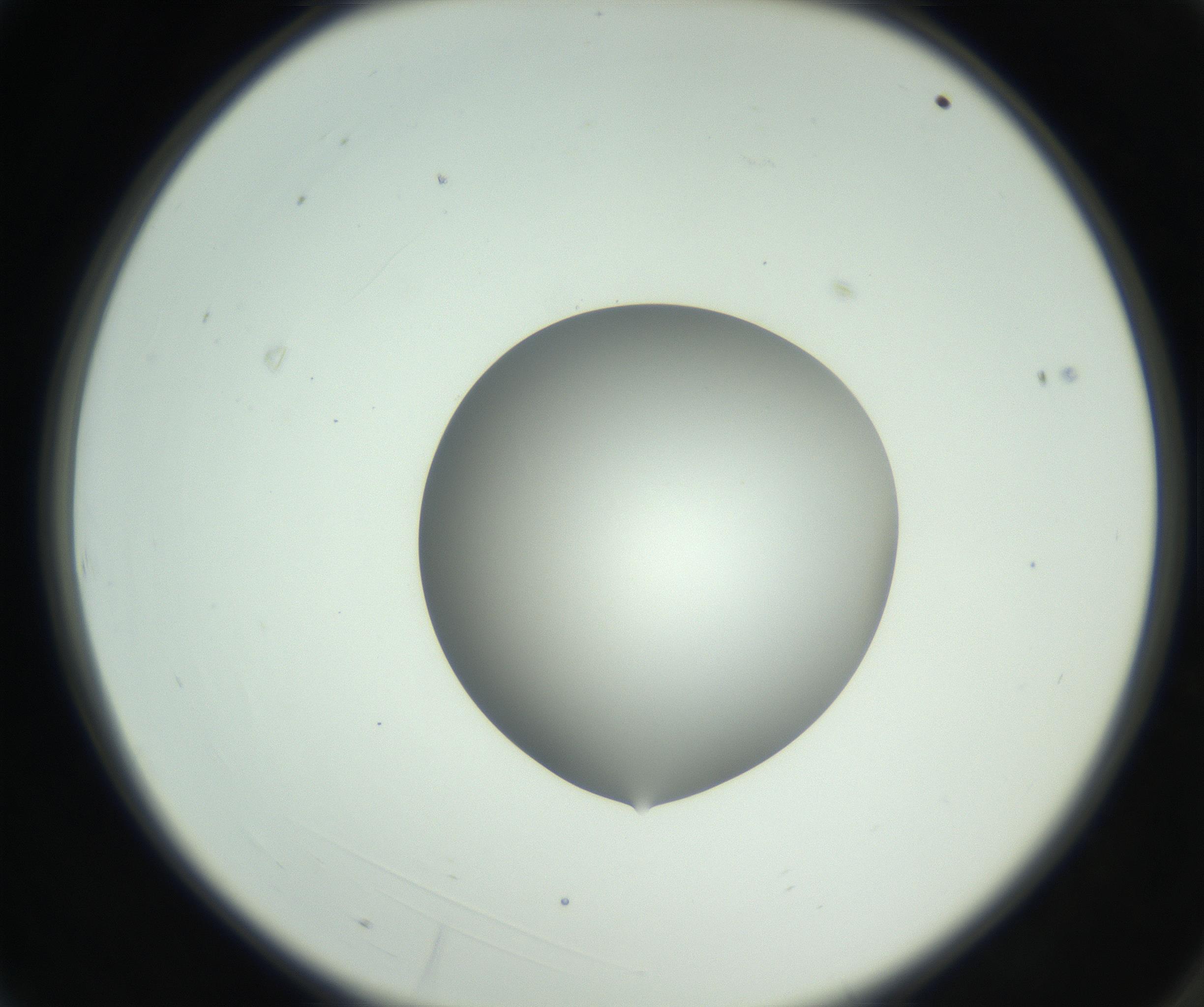 RI01_03_000_0212_Proj1_Clon1_MC_0000MC102746_005_160927_03_01_02_00_99_002_001_RAI.jpg