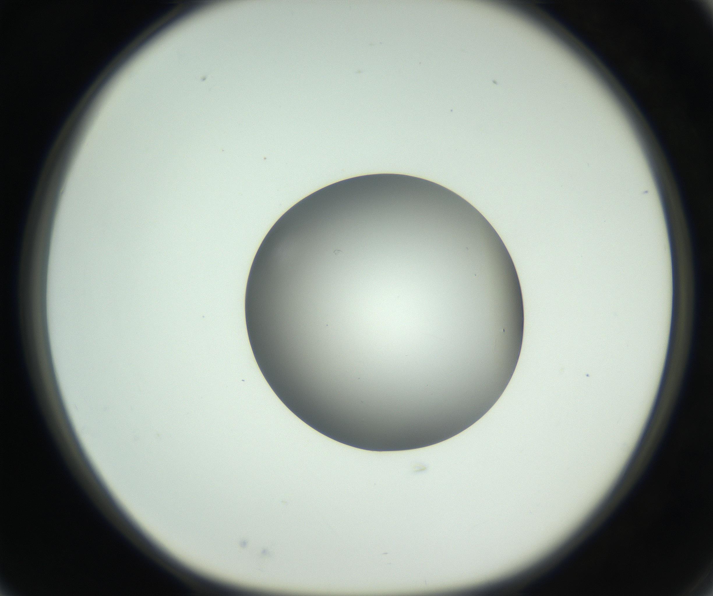 RI01_03_000_0212_Proj1_Clon1_MC_0000MC102746_005_160927_03_02_01_00_99_002_001_RAI.jpg