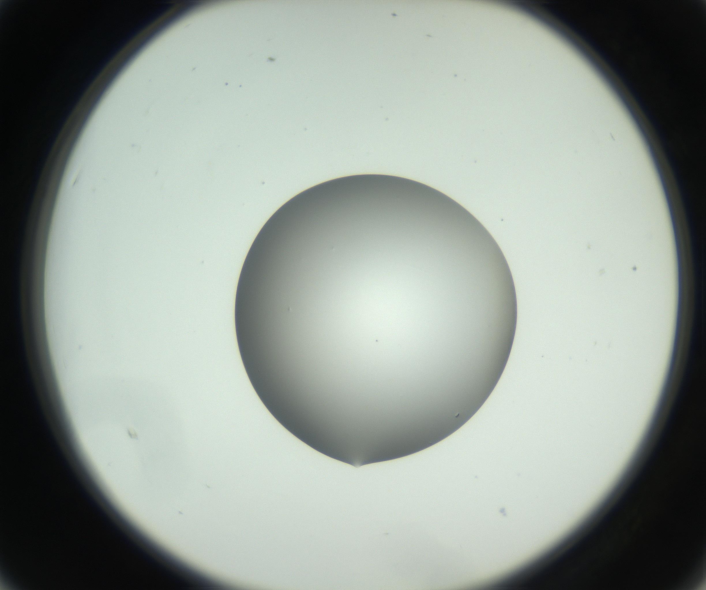 RI01_03_000_0212_Proj1_Clon1_MC_0000MC102746_005_160927_03_02_02_00_99_002_001_RAI.jpg