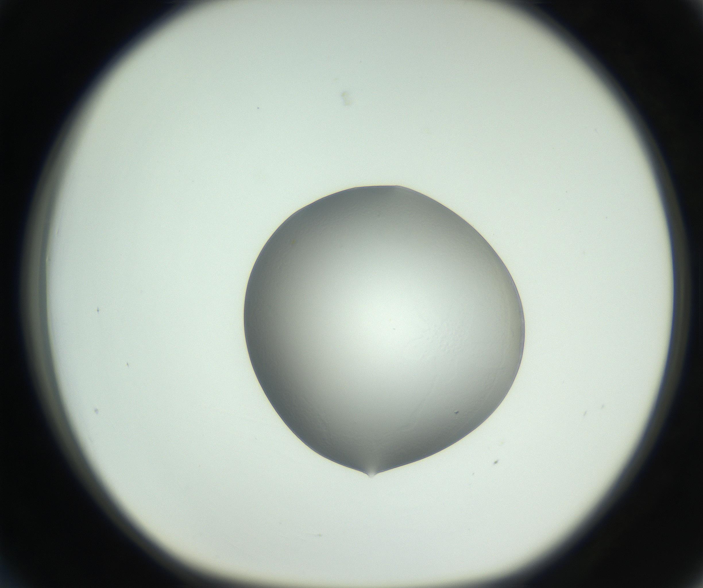 RI01_03_000_0212_Proj1_Clon1_MC_0000MC102746_005_160927_03_03_01_00_99_002_001_RAI.jpg