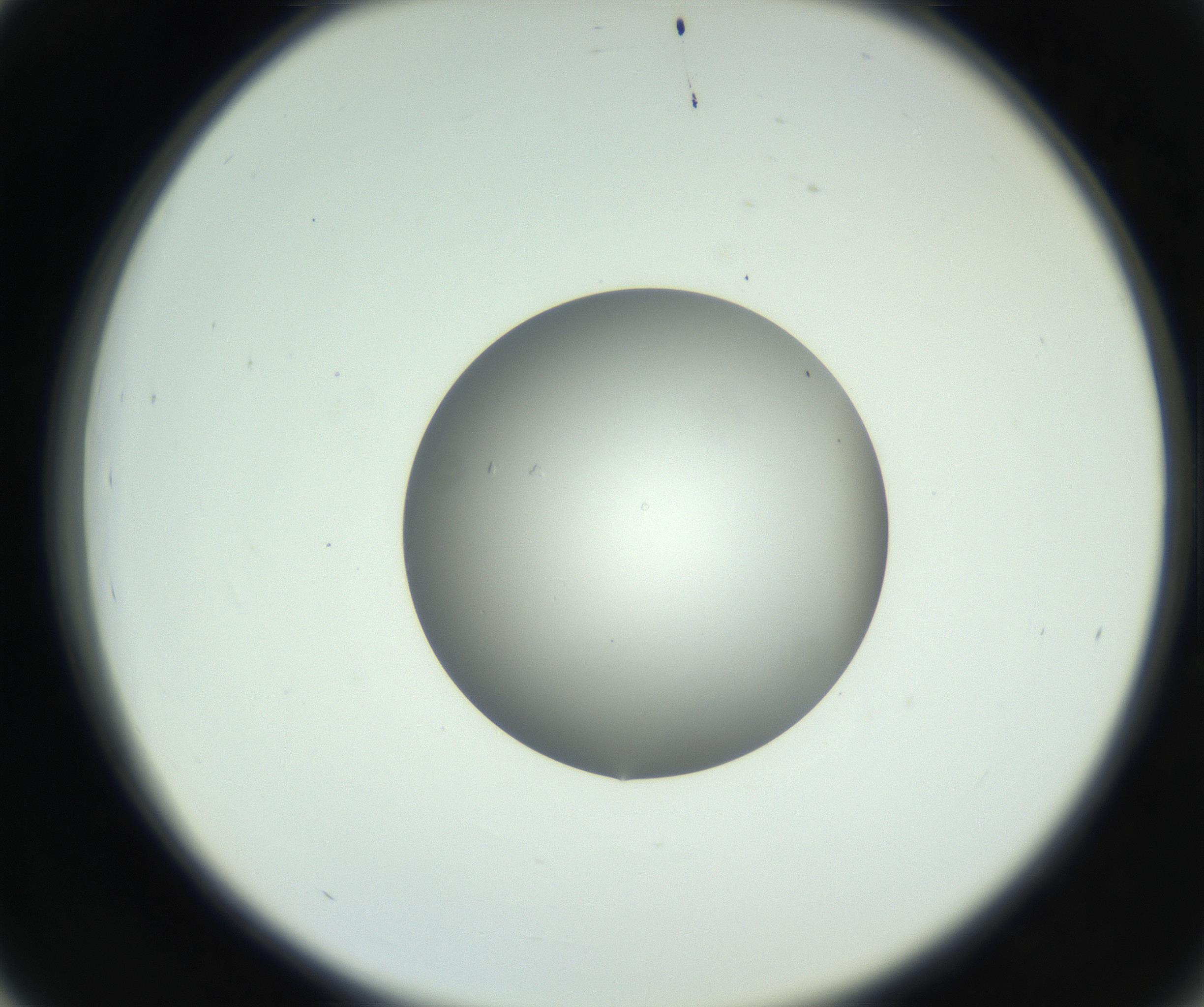RI01_03_000_0212_Proj1_Clon1_MC_0000MC102746_005_160927_03_04_02_00_99_002_001_RAI.jpg