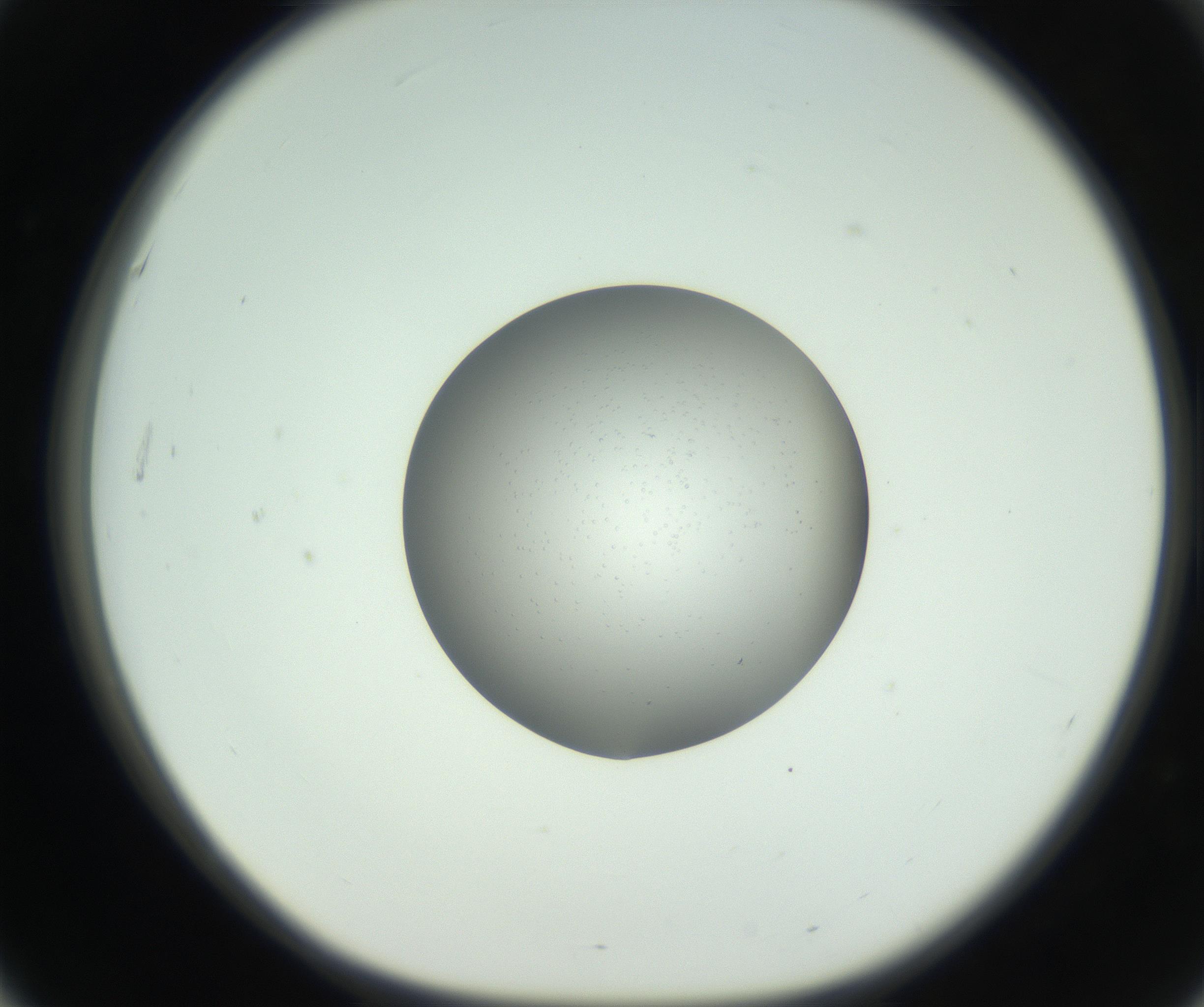 RI01_03_000_0212_Proj1_Clon1_MC_0000MC102746_005_160927_03_05_01_00_99_002_001_RAI.jpg