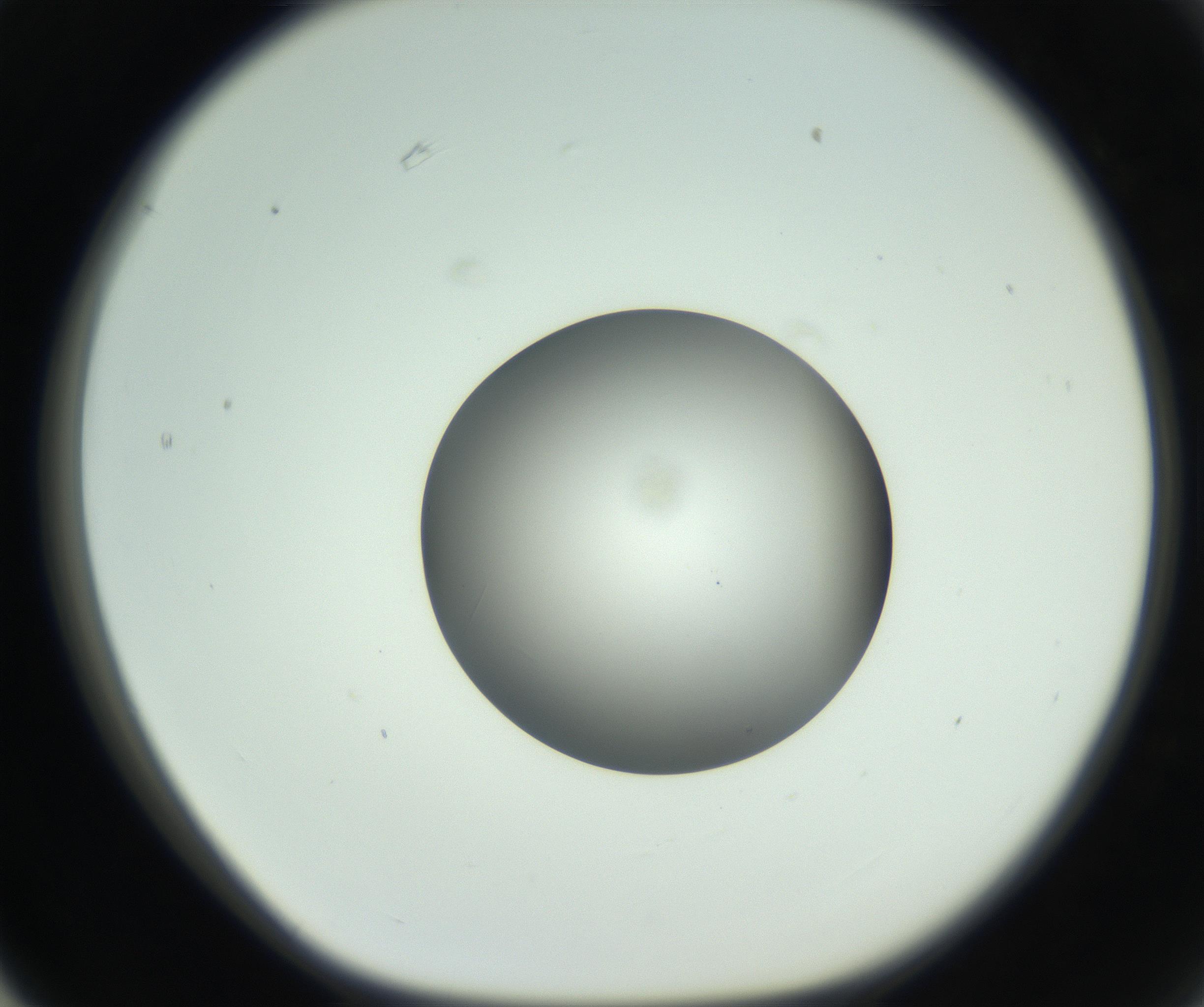 RI01_03_000_0212_Proj1_Clon1_MC_0000MC102746_005_160927_03_06_01_00_99_002_001_RAI.jpg