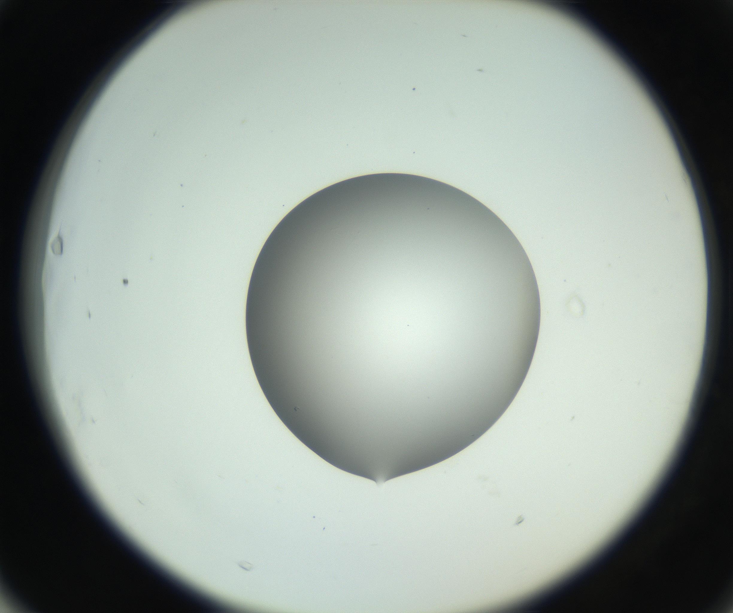 RI01_03_000_0212_Proj1_Clon1_MC_0000MC102746_005_160927_03_06_02_00_99_002_001_RAI.jpg
