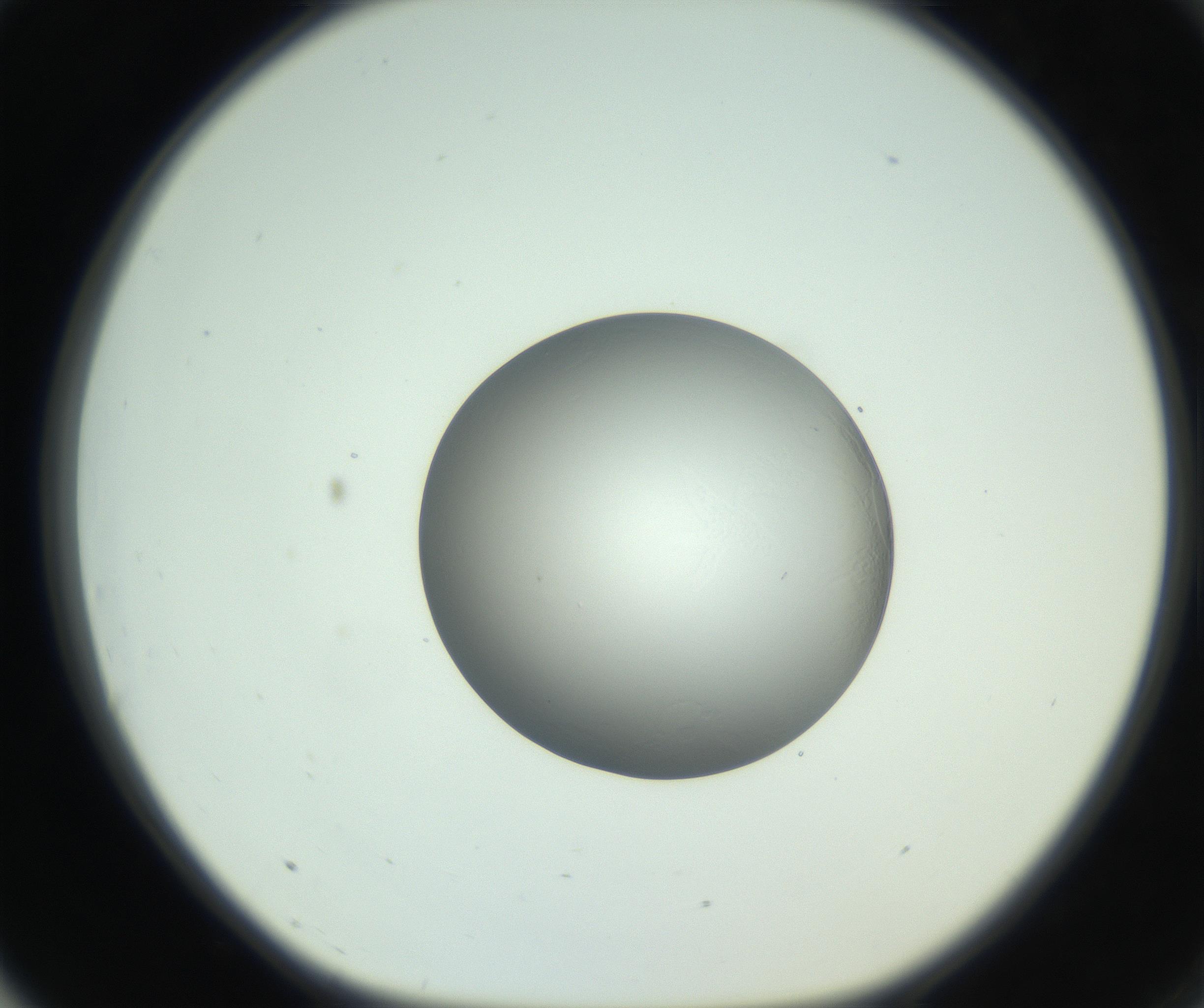 RI01_03_000_0212_Proj1_Clon1_MC_0000MC102746_005_160927_03_07_01_00_99_002_001_RAI.jpg
