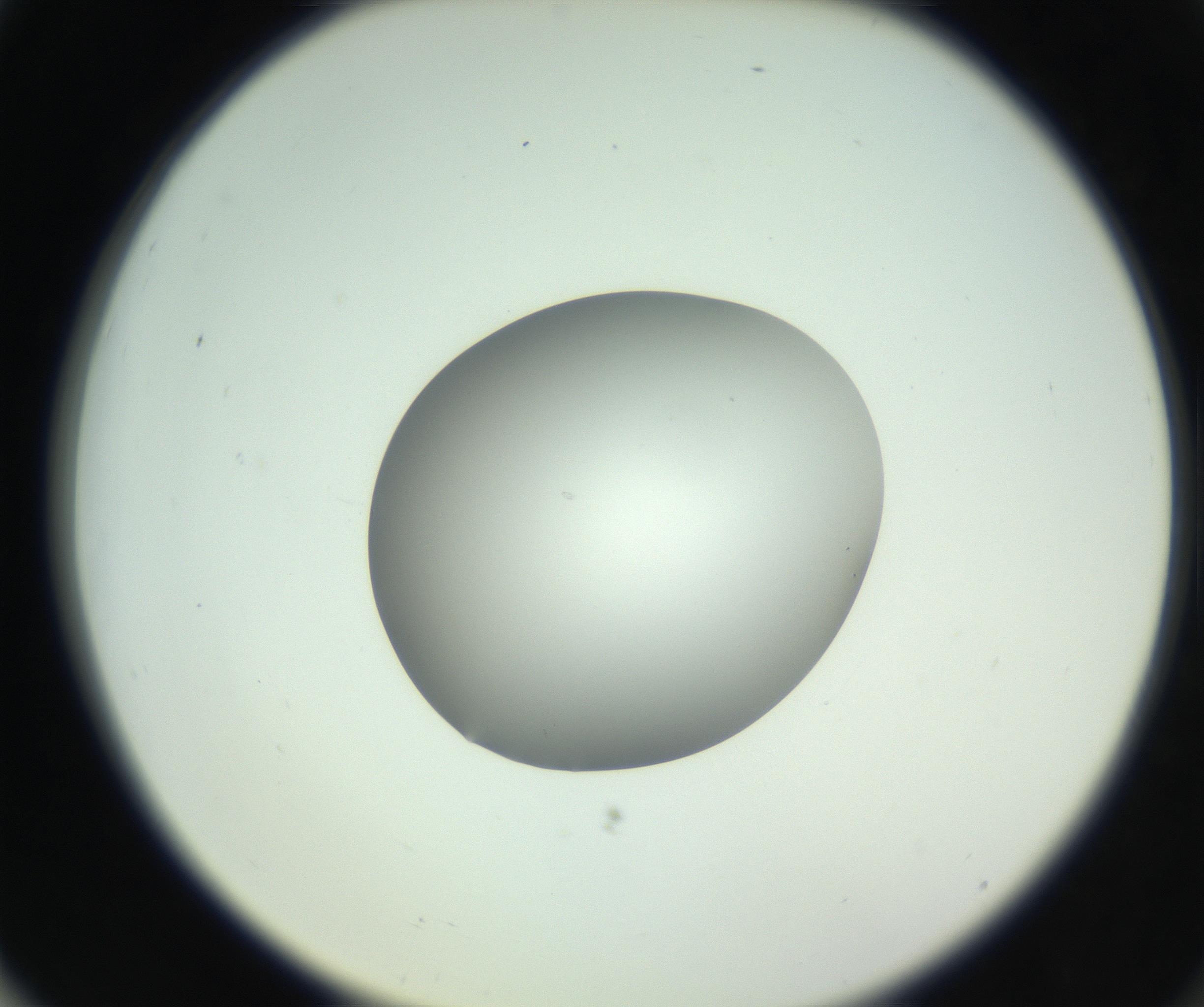 RI01_03_000_0212_Proj1_Clon1_MC_0000MC102746_005_160927_03_07_02_00_99_002_001_RAI.jpg
