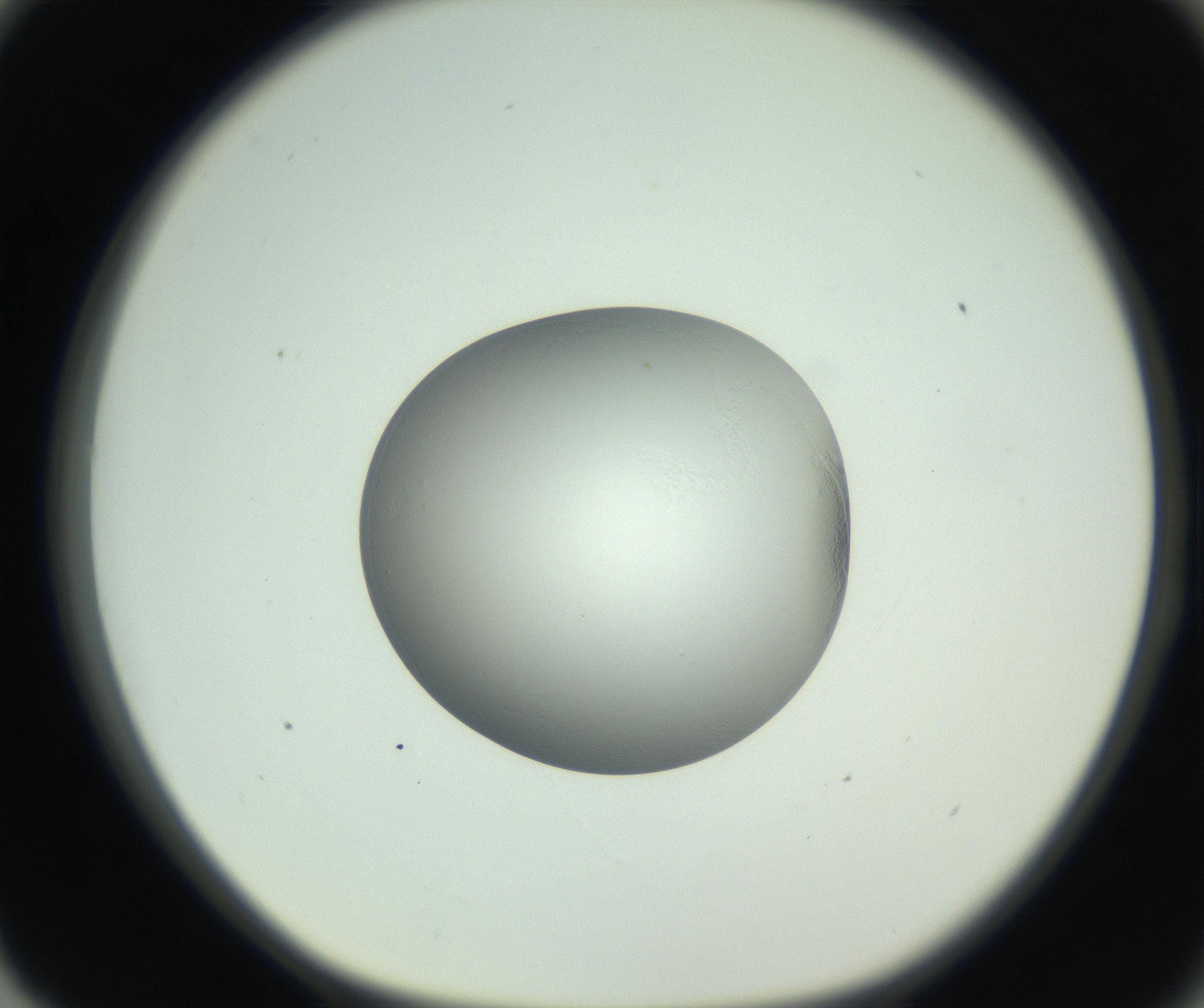 RI01_03_000_0212_Proj1_Clon1_MC_0000MC102746_005_160927_03_08_01_00_99_002_001_RAI.jpg