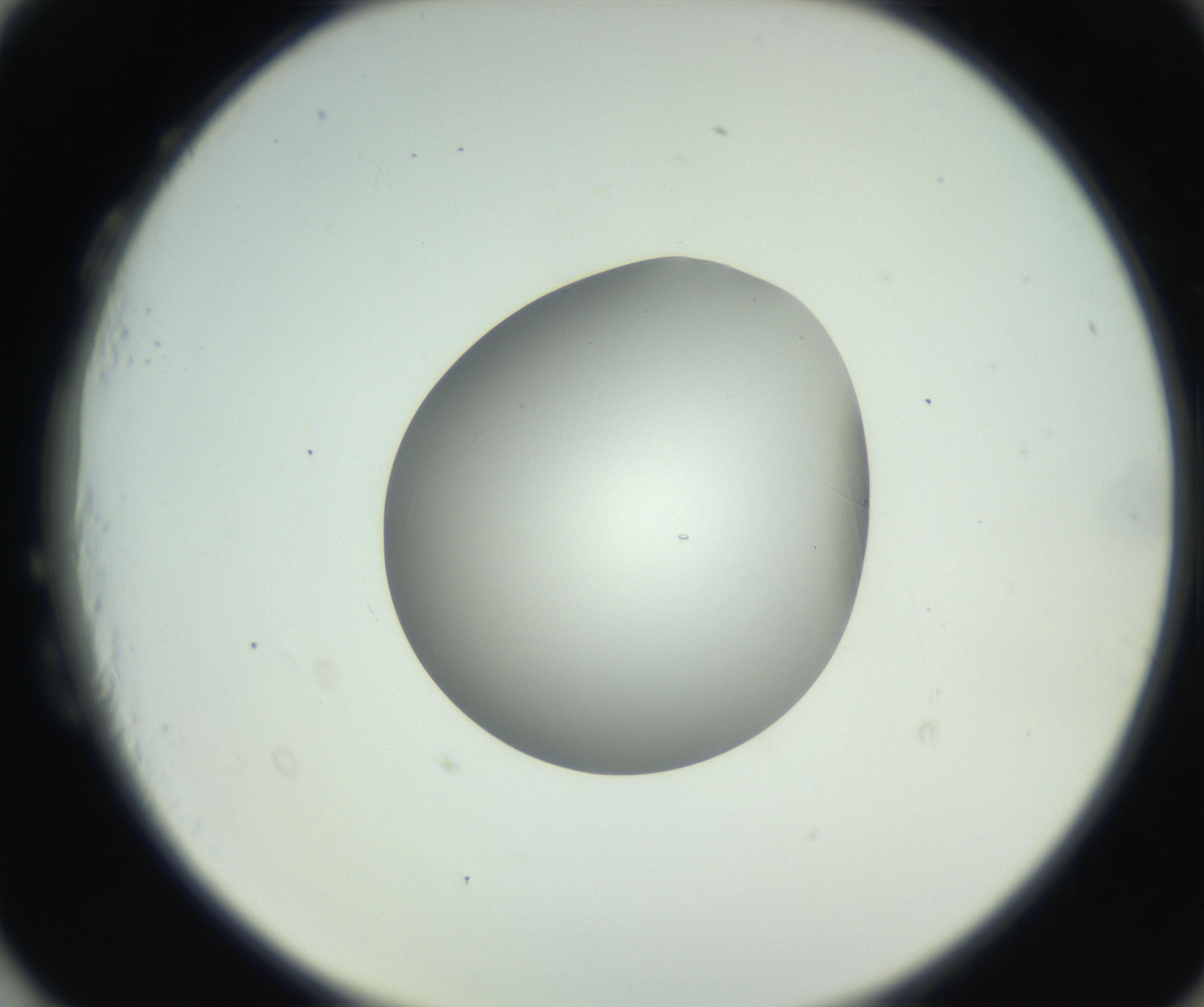 RI01_03_000_0212_Proj1_Clon1_MC_0000MC102746_005_160927_03_08_02_00_99_002_001_RAI.jpg