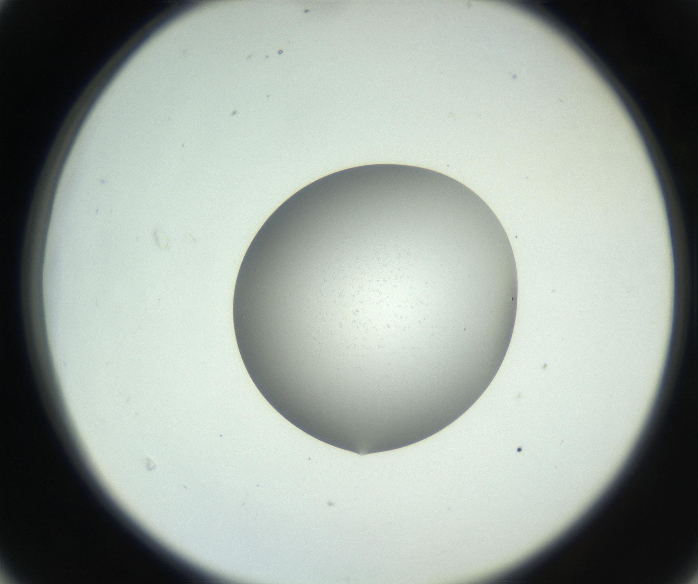 RI01_03_000_0212_Proj1_Clon1_MC_0000MC102746_005_160927_04_04_02_00_99_002_001_RAI.jpg