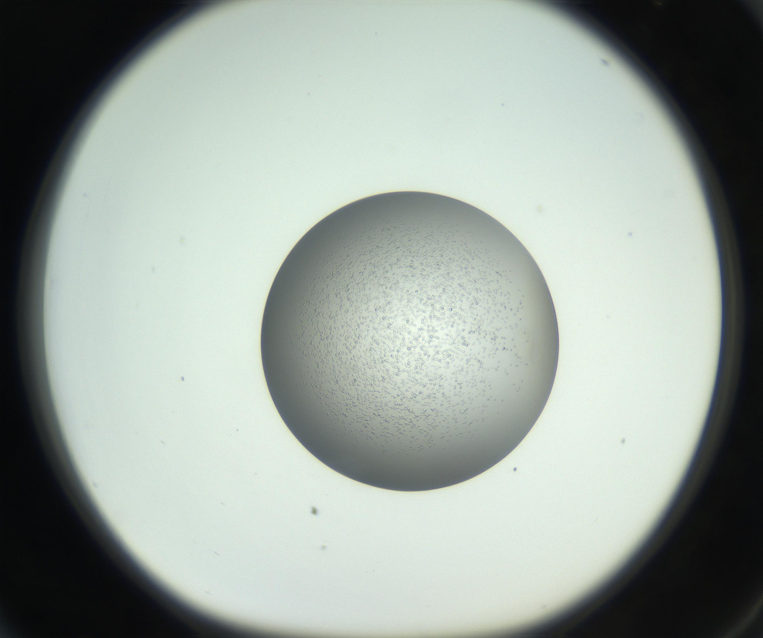 RI01_03_000_0212_Proj1_Clon1_MC_0000MC102746_005_160927_04_06_01_00_99_002_001_RAI.jpg
