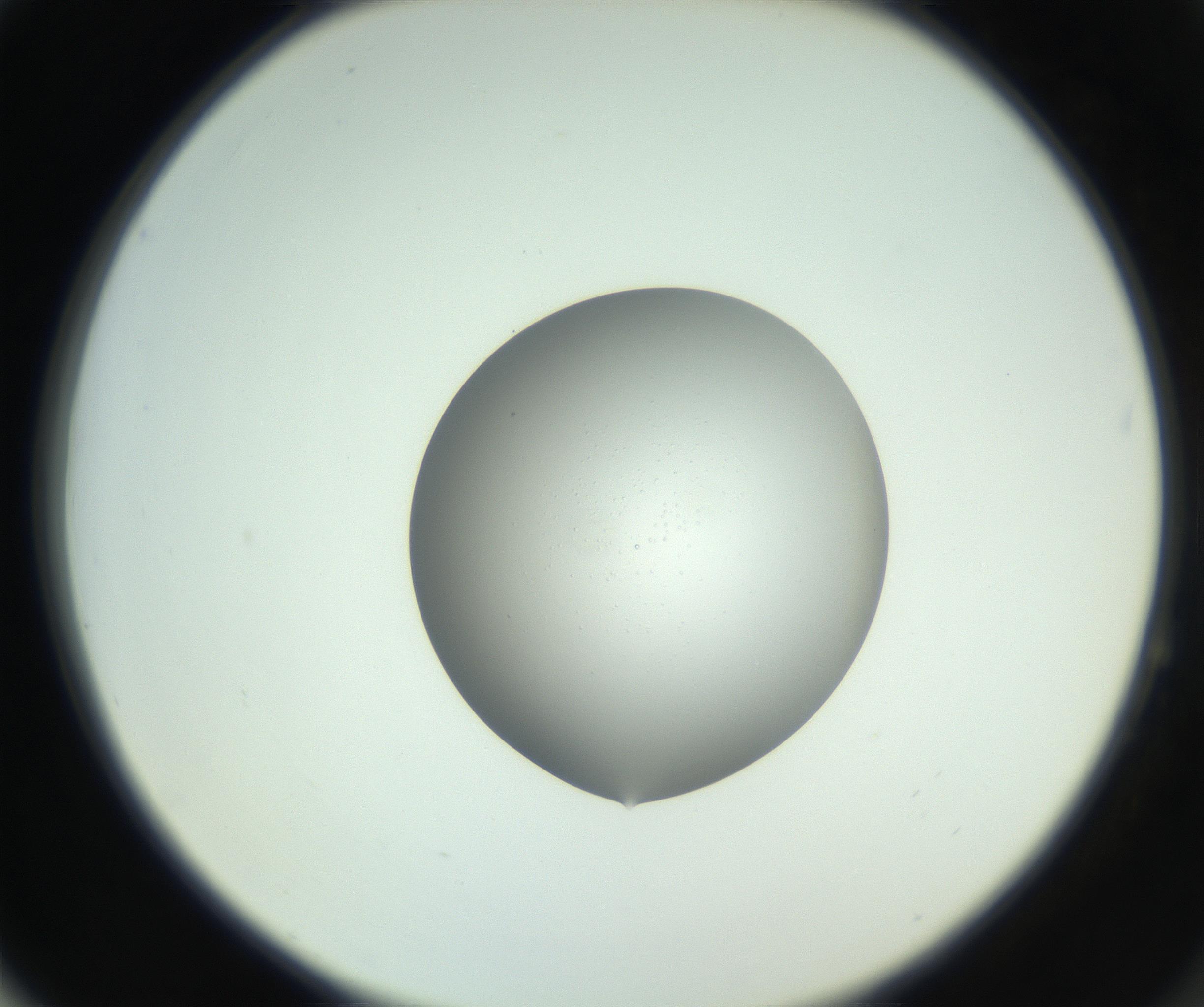 RI01_03_000_0212_Proj1_Clon1_MC_0000MC102746_005_160927_04_06_02_00_99_002_001_RAI.jpg