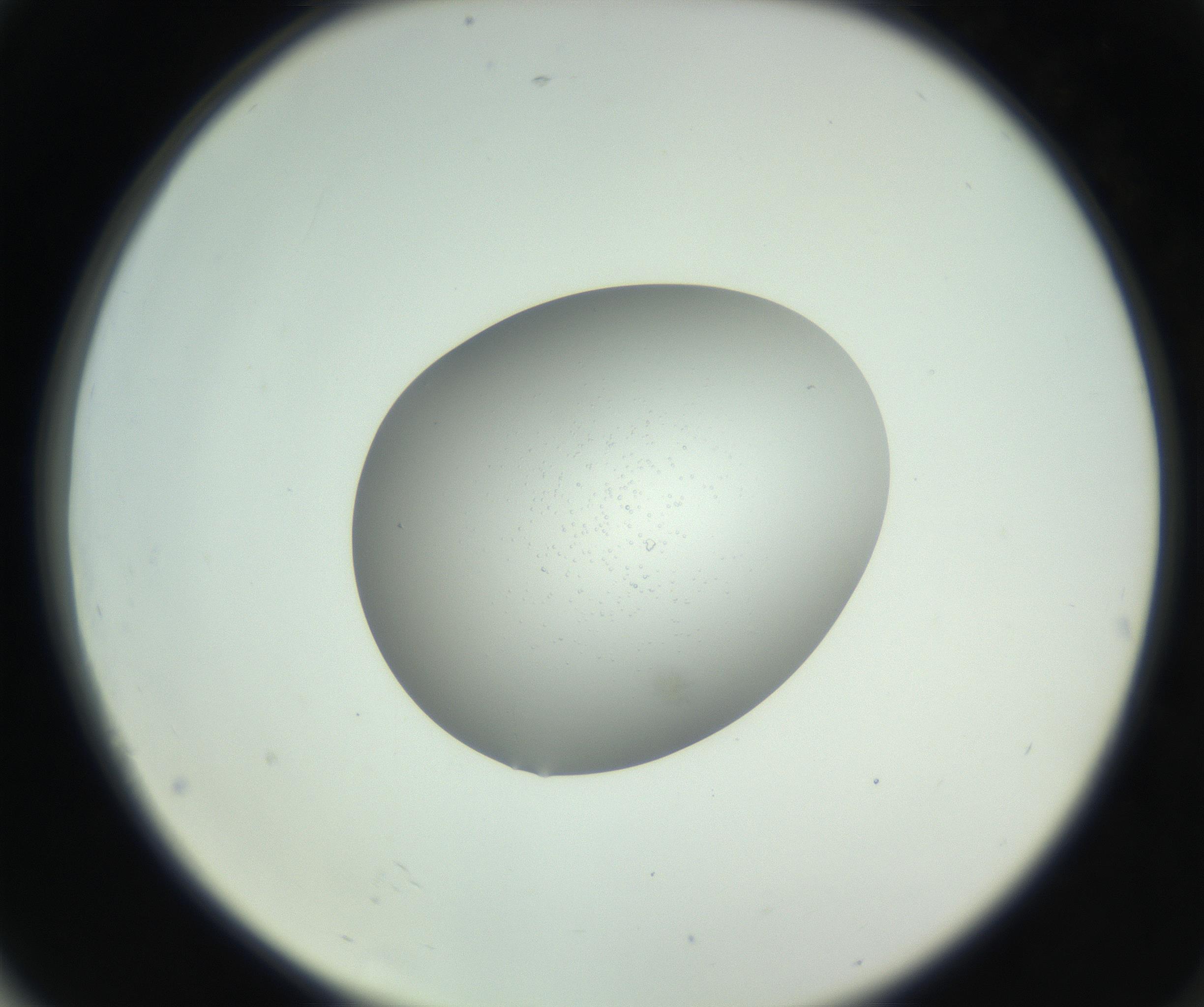RI01_03_000_0212_Proj1_Clon1_MC_0000MC102746_005_160927_04_07_02_00_99_002_001_RAI.jpg