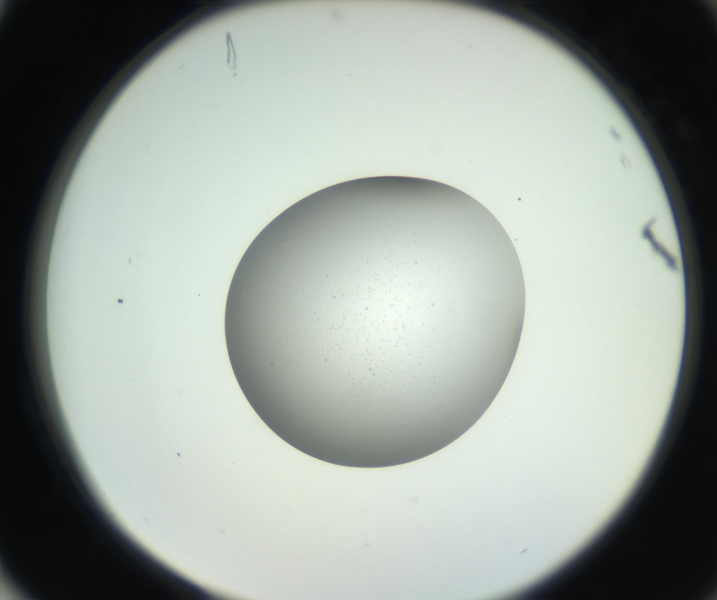 RI01_03_000_0212_Proj1_Clon1_MC_0000MC102746_005_160927_04_08_02_00_99_002_001_RAI.jpg