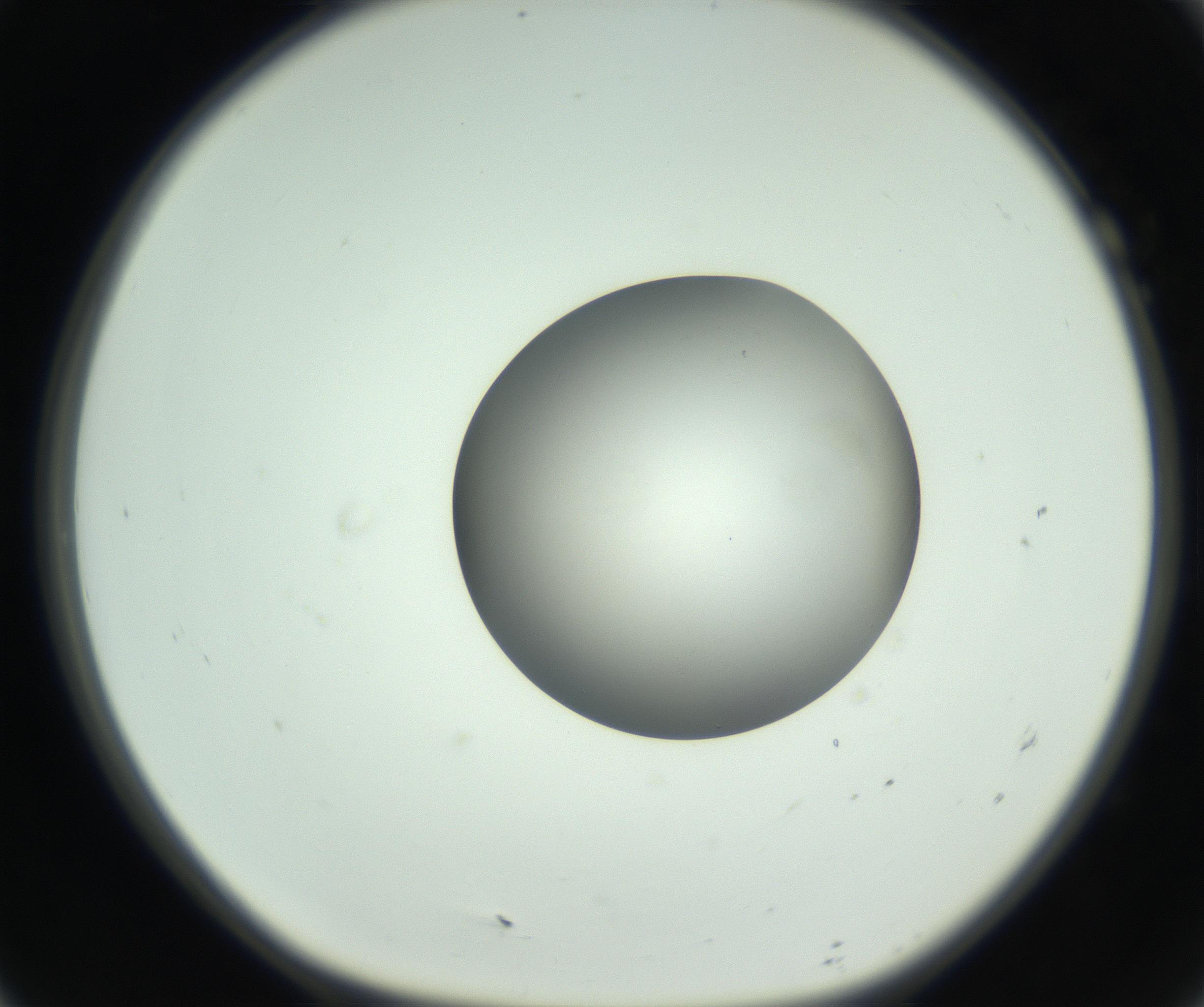RI01_03_000_0212_Proj1_Clon1_MC_0000MC102746_005_160927_07_01_01_00_99_002_001_RAI.jpg