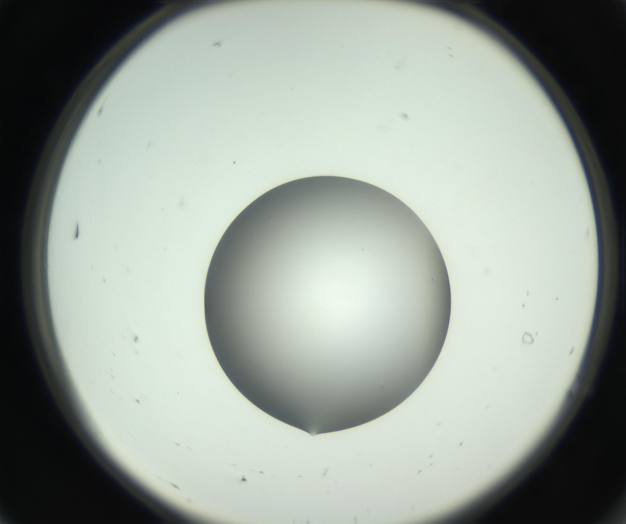 RI01_03_000_0212_Proj1_Clon1_MC_0000MC102746_005_160927_07_01_02_00_99_002_001_RAI.jpg