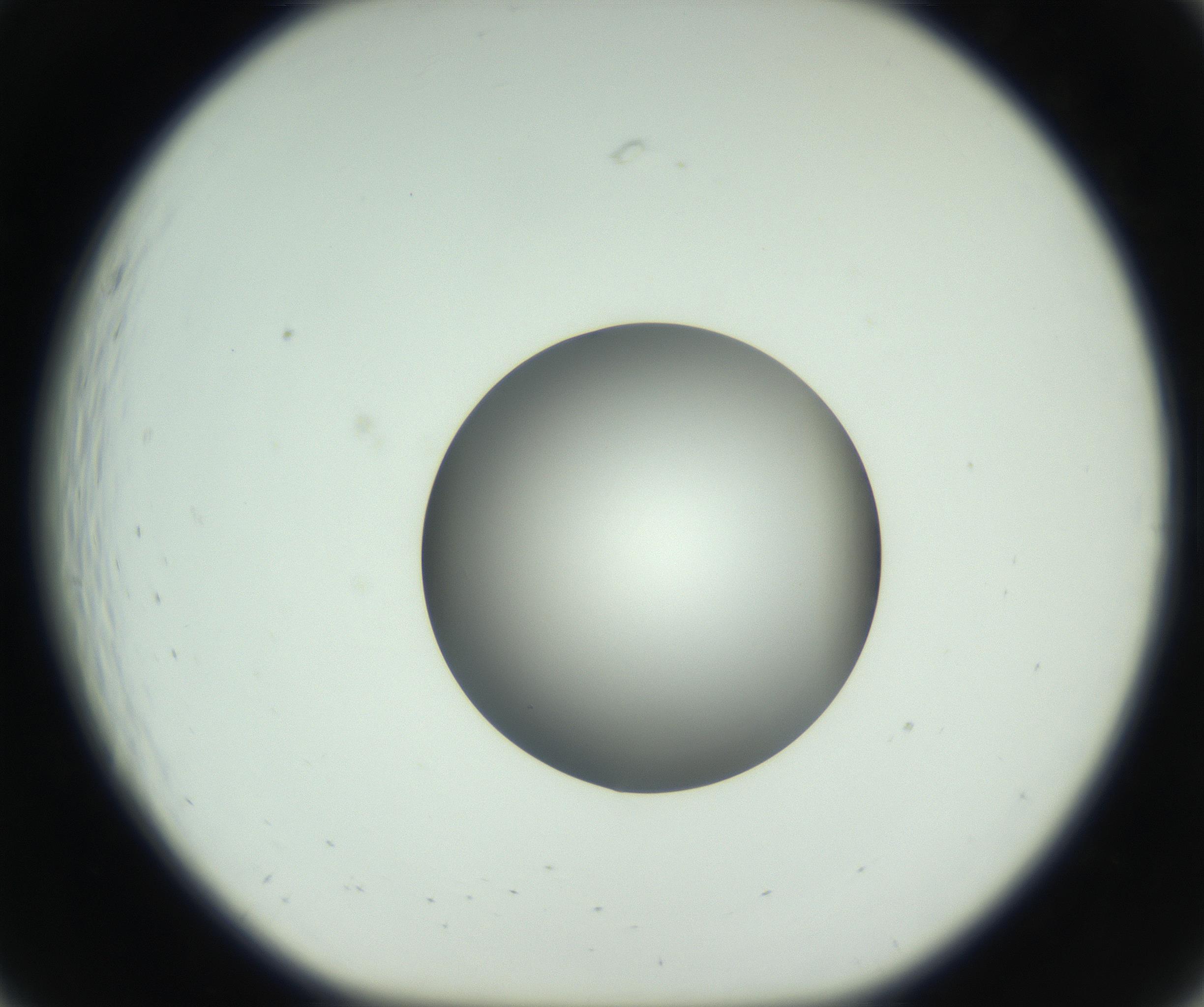 RI01_03_000_0212_Proj1_Clon1_MC_0000MC102746_005_160927_07_02_01_00_99_002_001_RAI.jpg