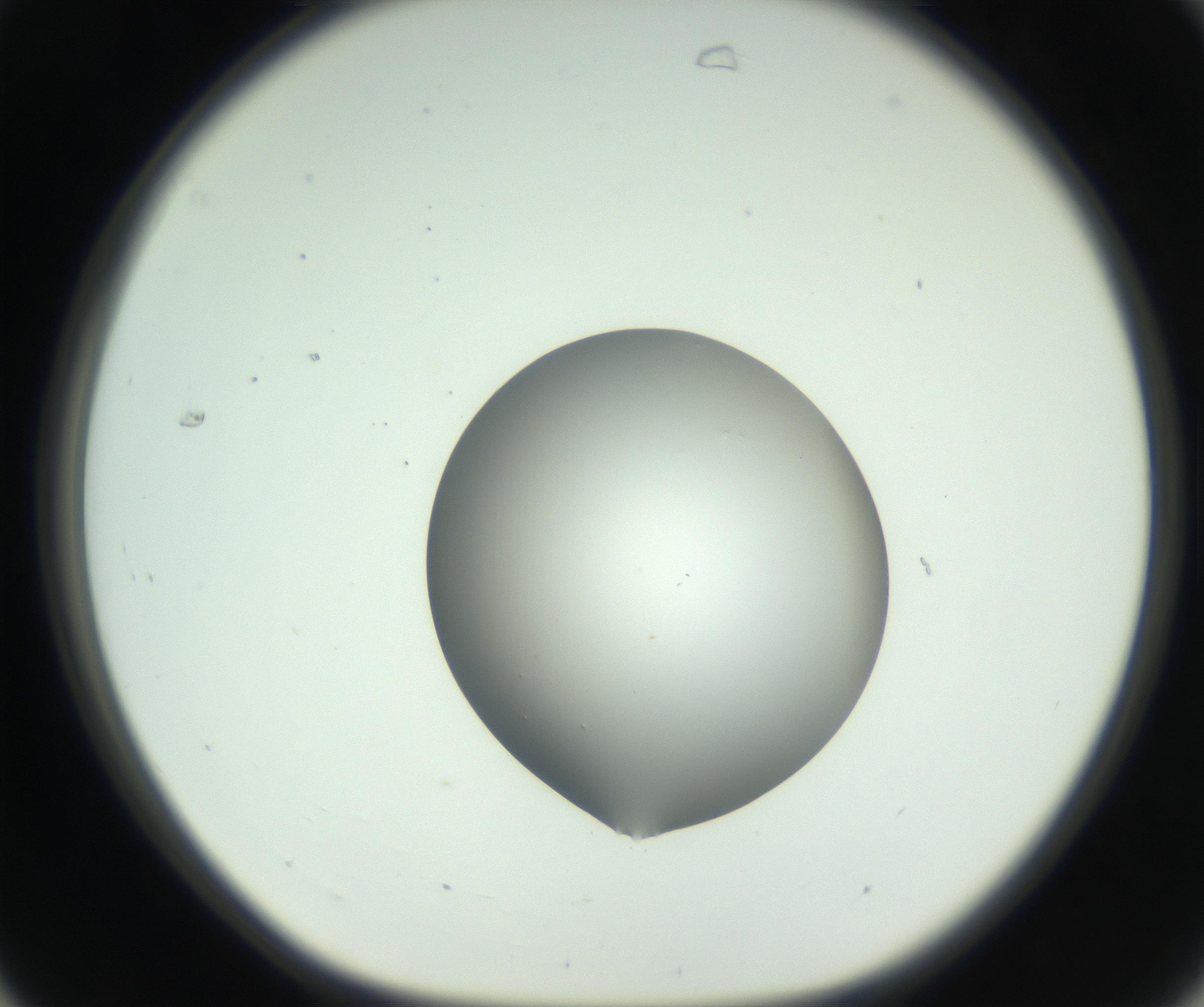 RI01_03_000_0212_Proj1_Clon1_MC_0000MC102746_005_160927_07_03_01_00_99_002_001_RAI.jpg
