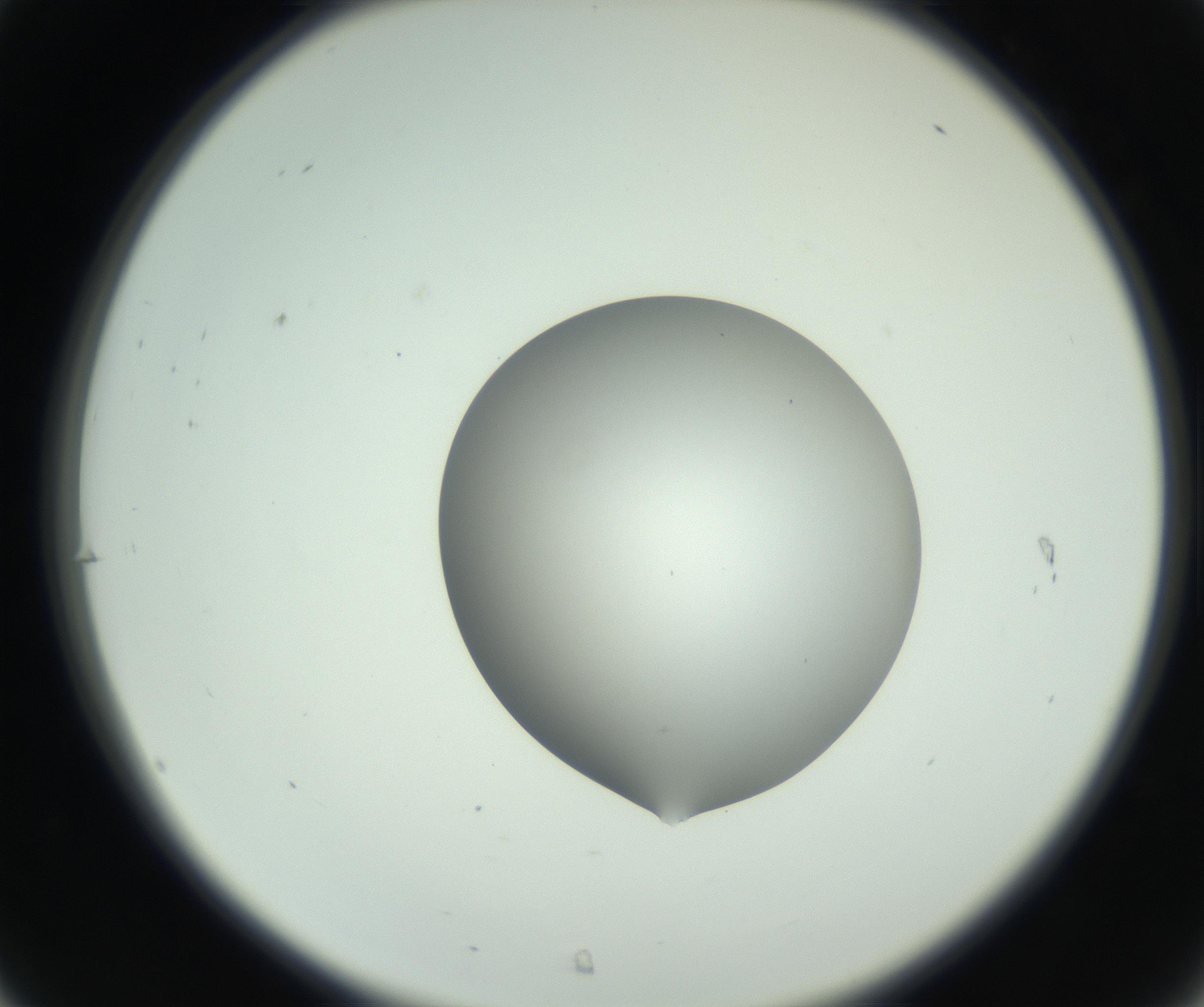 RI01_03_000_0212_Proj1_Clon1_MC_0000MC102746_005_160927_07_03_02_00_99_002_001_RAI.jpg