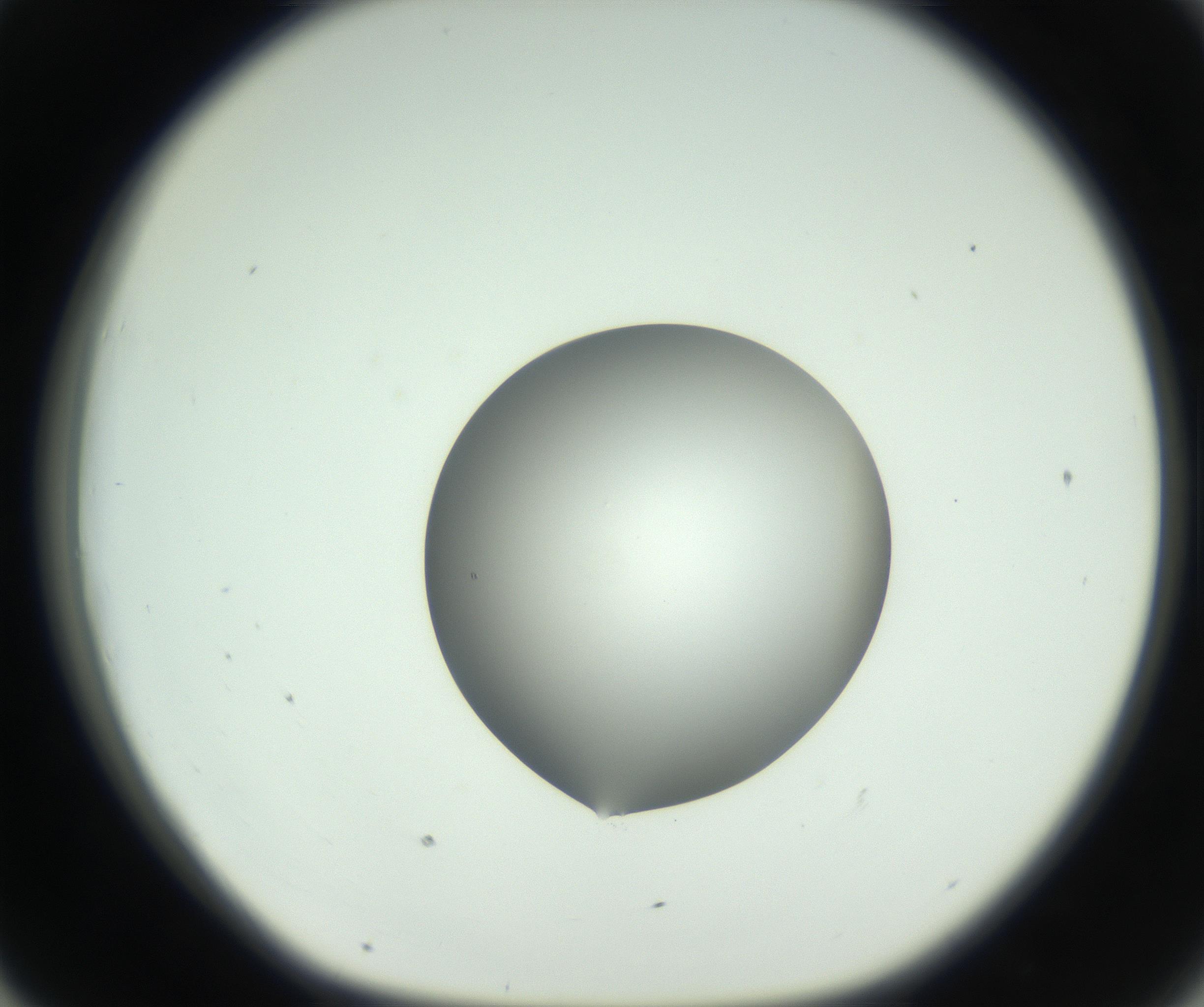 RI01_03_000_0212_Proj1_Clon1_MC_0000MC102746_005_160927_07_04_01_00_99_002_001_RAI.jpg
