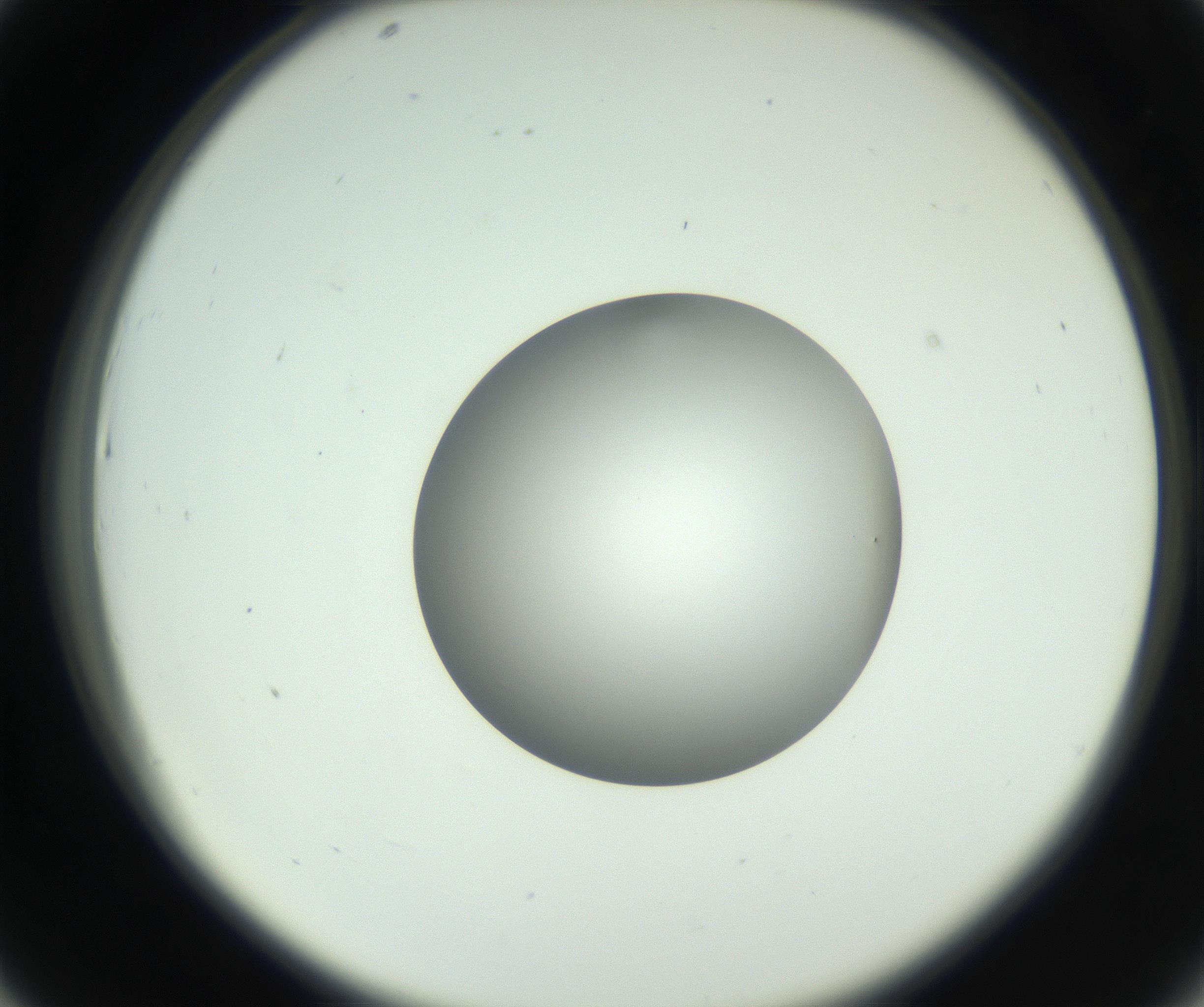 RI01_03_000_0212_Proj1_Clon1_MC_0000MC102746_005_160927_07_04_02_00_99_002_001_RAI.jpg