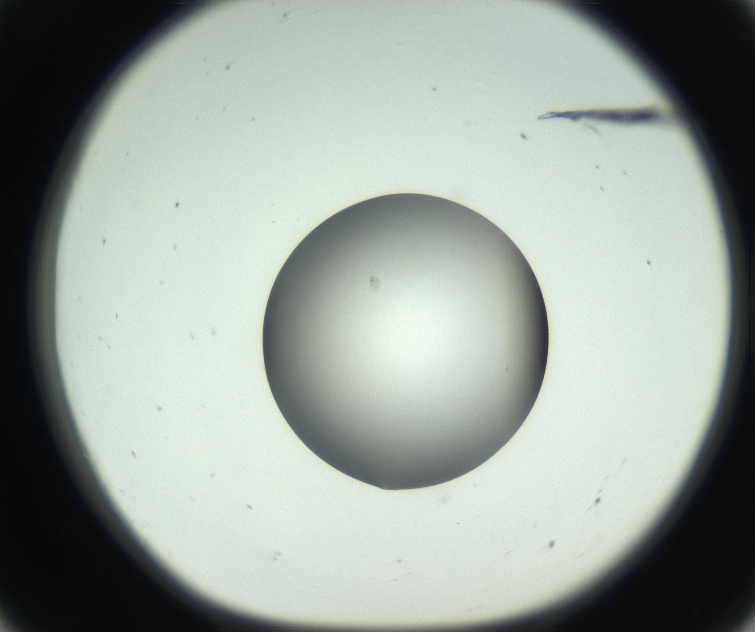RI01_03_000_0212_Proj1_Clon1_MC_0000MC102746_005_160927_07_05_01_00_99_002_001_RAI.jpg