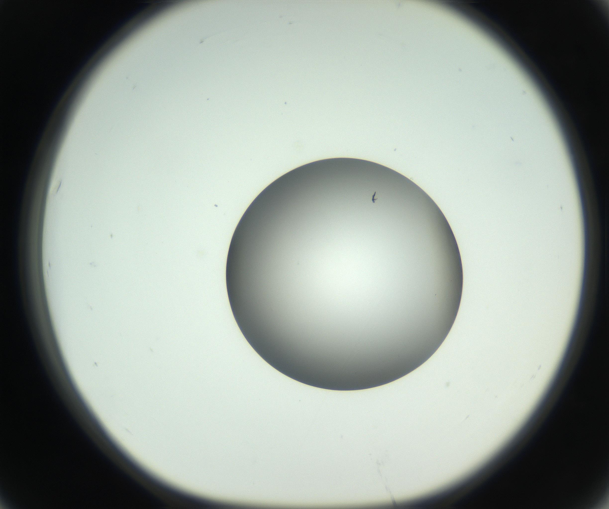 RI01_03_000_0212_Proj1_Clon1_MC_0000MC102746_005_160927_07_06_01_00_99_002_001_RAI.jpg
