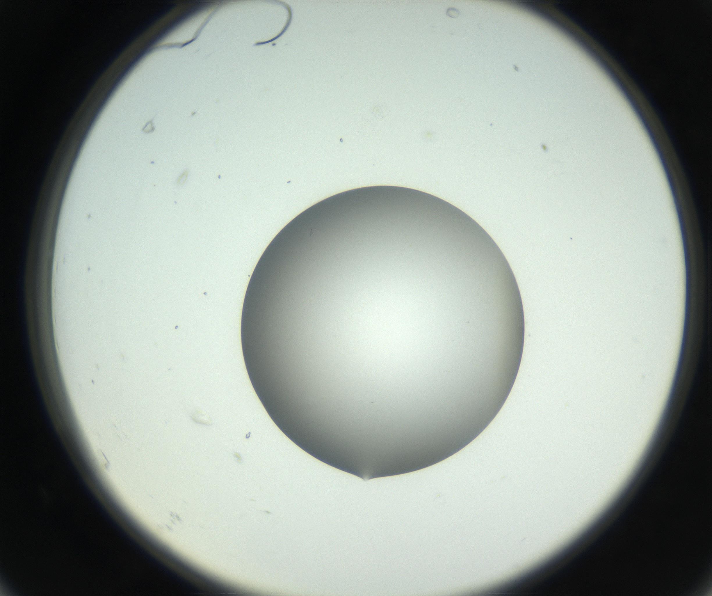 RI01_03_000_0212_Proj1_Clon1_MC_0000MC102746_005_160927_07_06_02_00_99_002_001_RAI.jpg