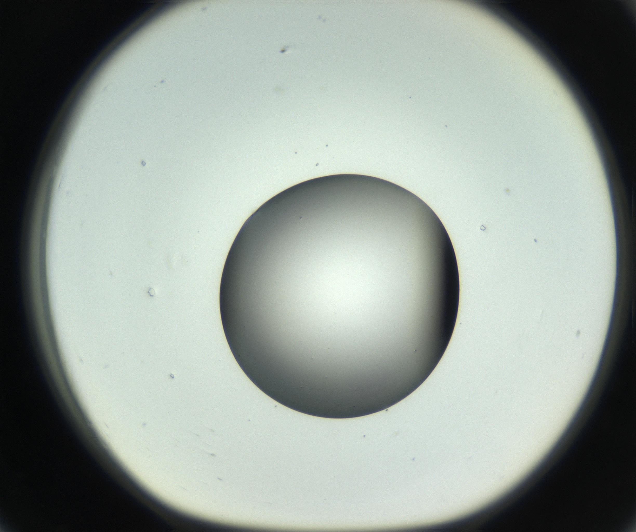 RI01_03_000_0212_Proj1_Clon1_MC_0000MC102746_005_160927_07_07_01_00_99_002_001_RAI.jpg