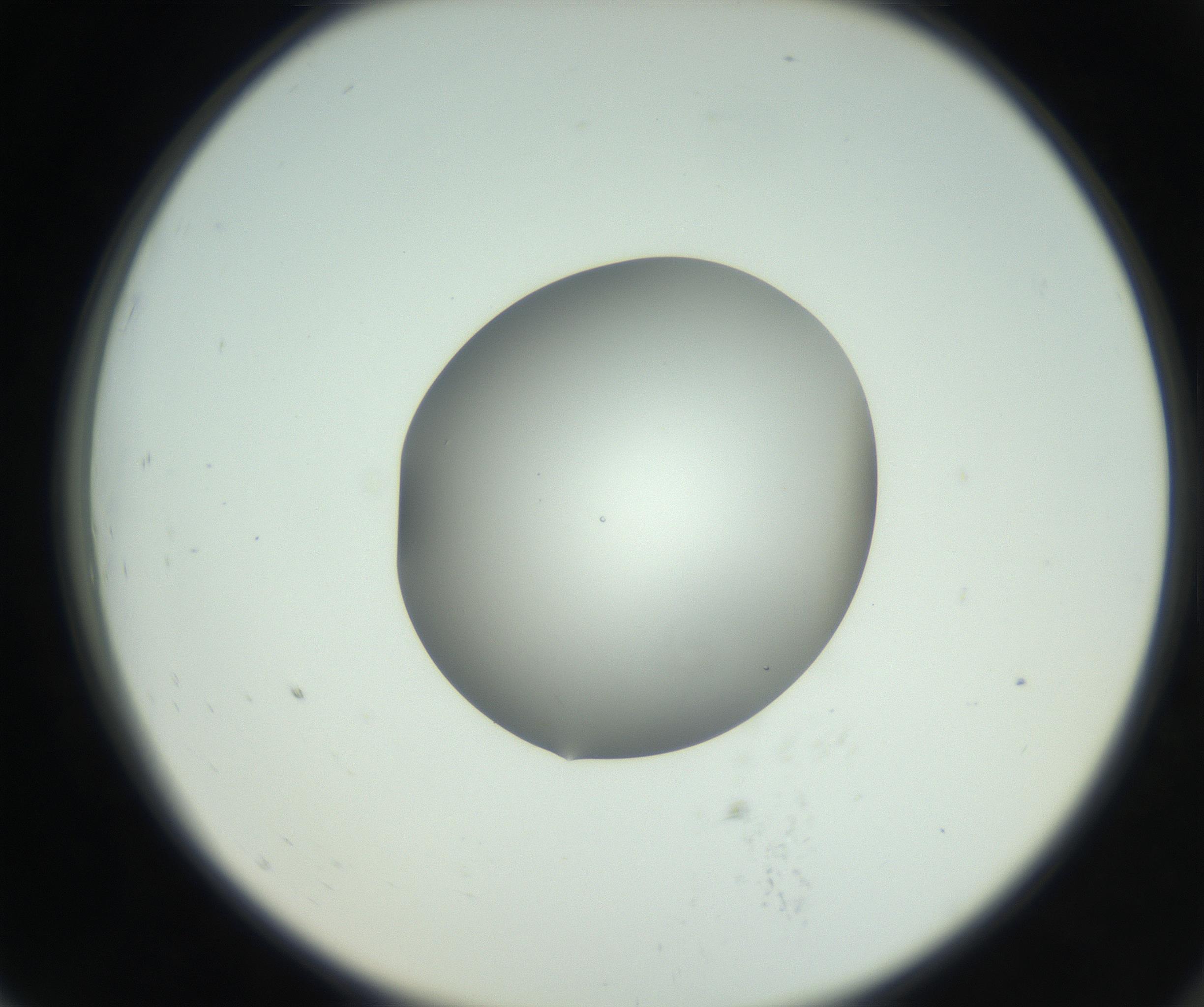 RI01_03_000_0212_Proj1_Clon1_MC_0000MC102746_005_160927_07_07_02_00_99_002_001_RAI.jpg