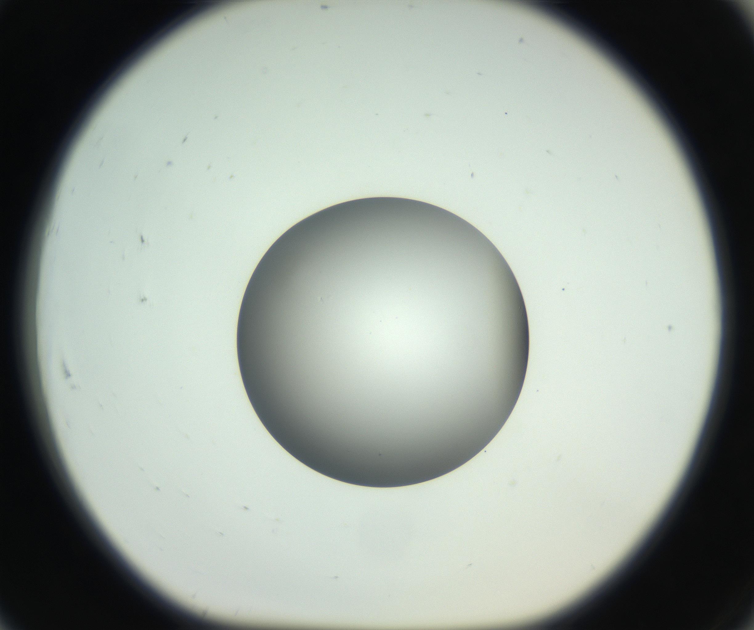 RI01_03_000_0212_Proj1_Clon1_MC_0000MC102746_005_160927_07_08_01_00_99_002_001_RAI.jpg