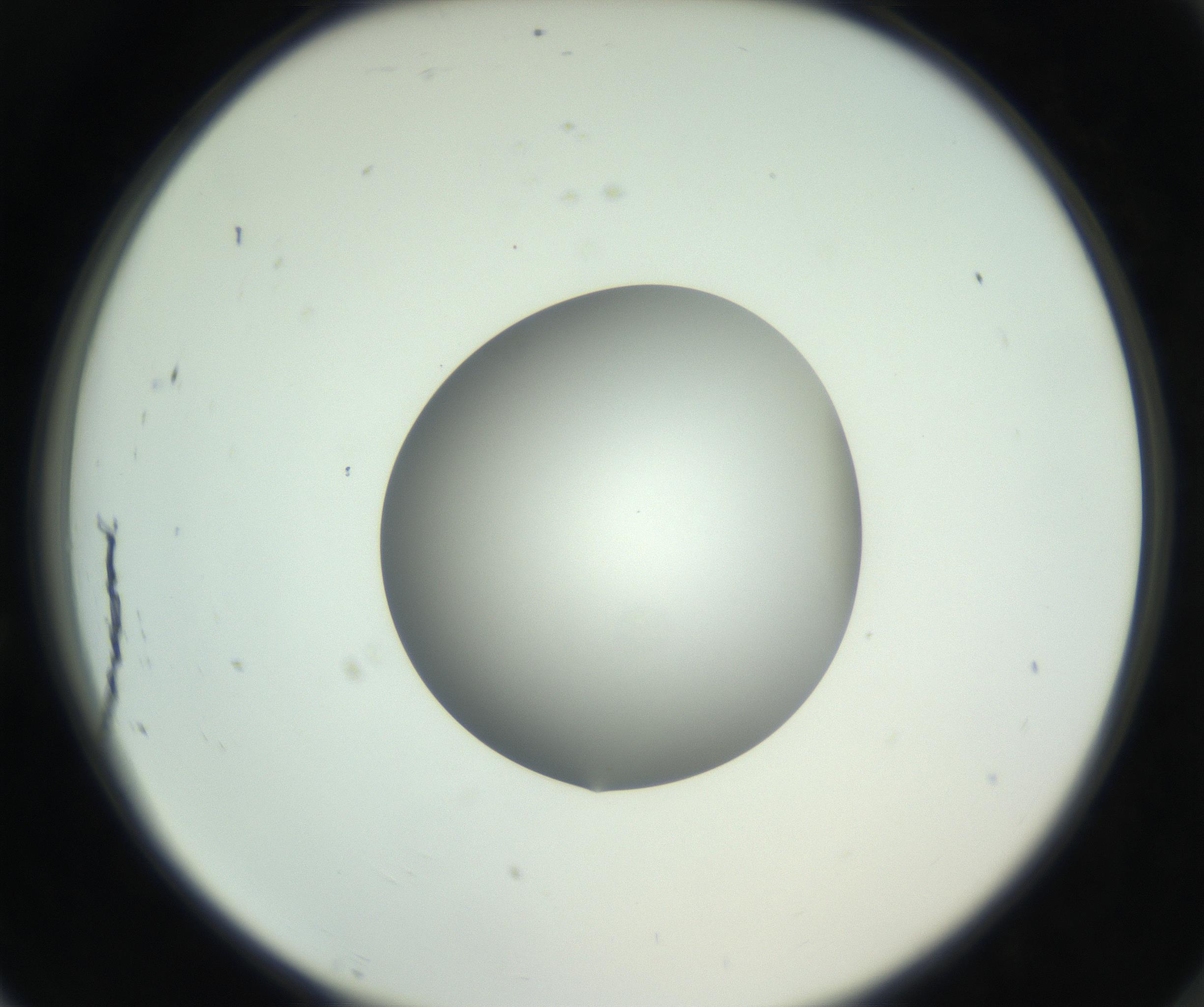 RI01_03_000_0212_Proj1_Clon1_MC_0000MC102746_005_160927_07_08_02_00_99_002_001_RAI.jpg