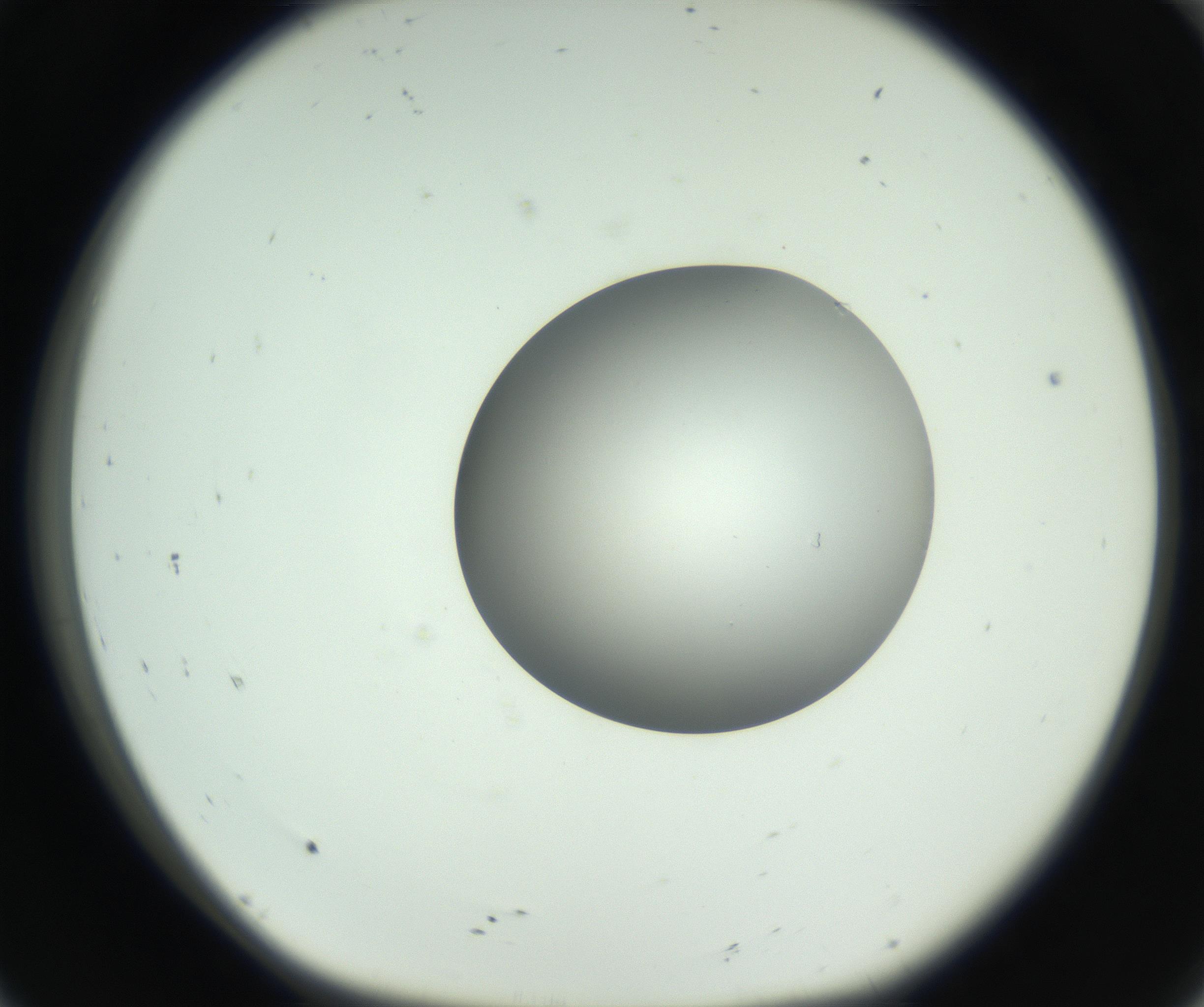 RI01_03_000_0212_Proj1_Clon1_MC_0000MC102746_005_160927_08_01_01_00_99_002_001_RAI.jpg