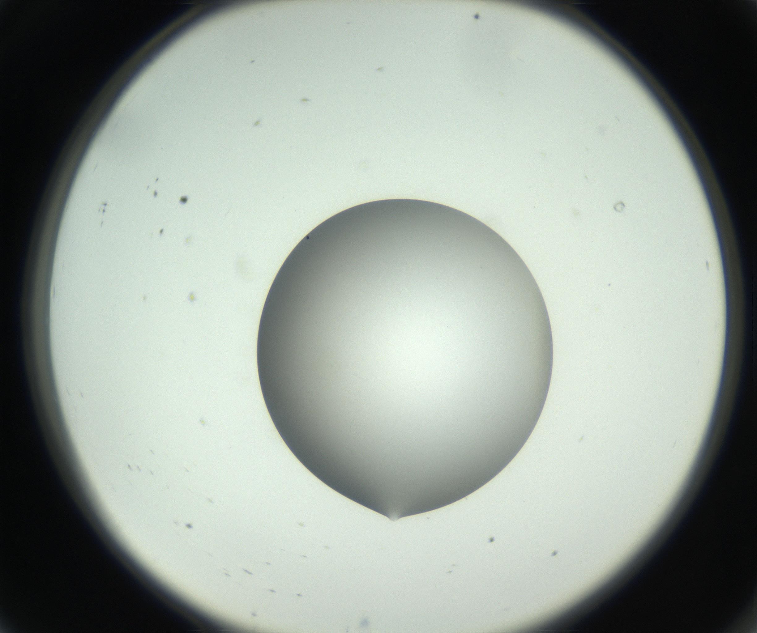 RI01_03_000_0212_Proj1_Clon1_MC_0000MC102746_005_160927_08_01_02_00_99_002_001_RAI.jpg