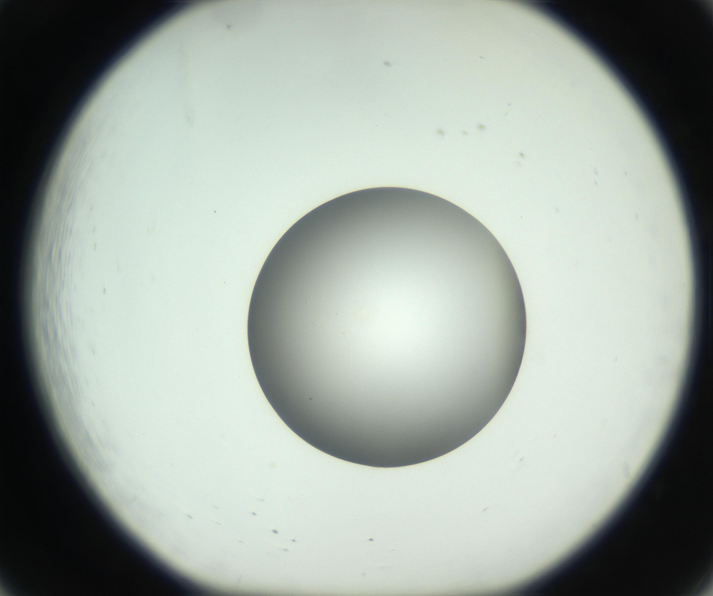 RI01_03_000_0212_Proj1_Clon1_MC_0000MC102746_005_160927_08_02_01_00_99_002_001_RAI.jpg