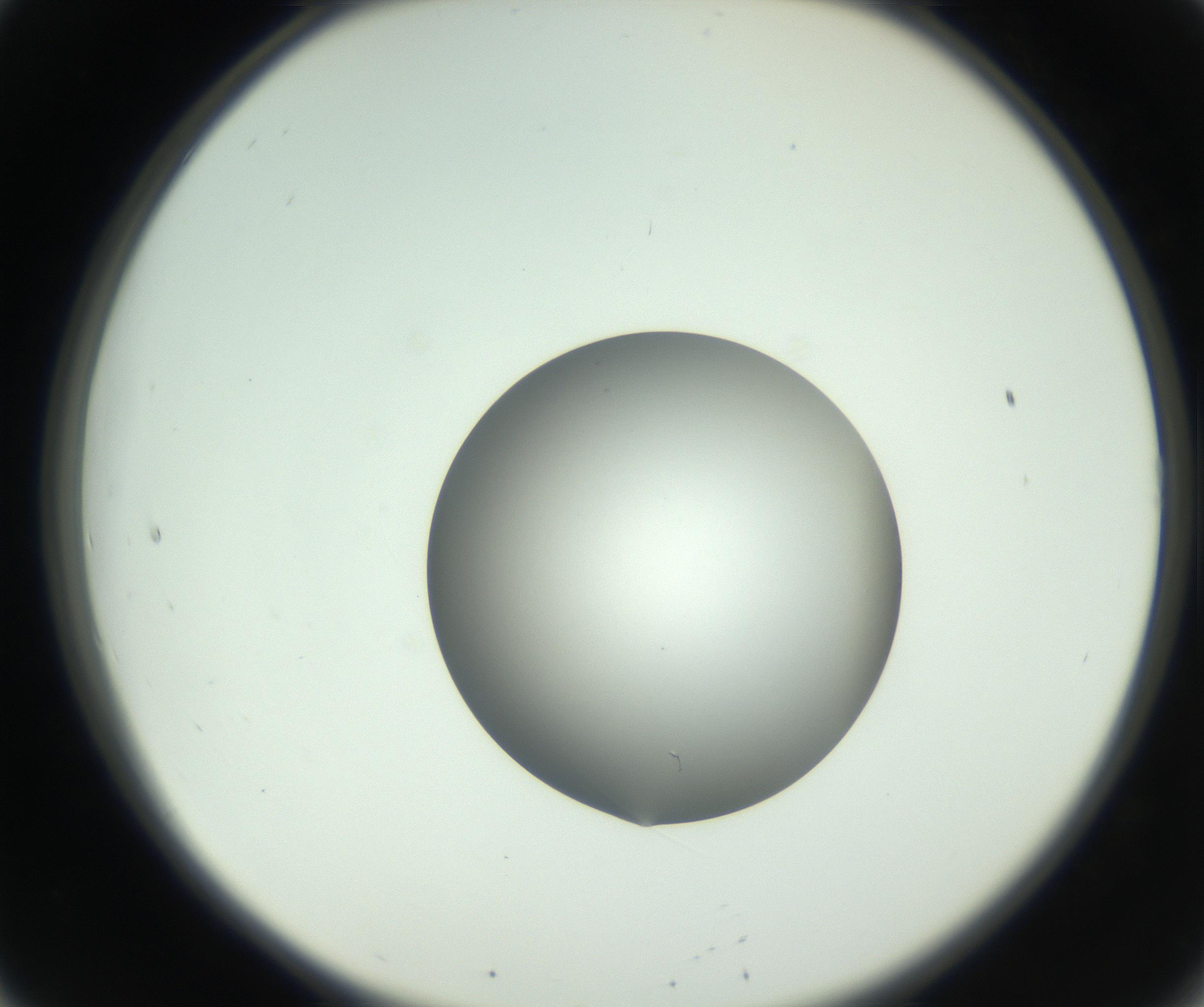 RI01_03_000_0212_Proj1_Clon1_MC_0000MC102746_005_160927_08_02_02_00_99_002_001_RAI.jpg