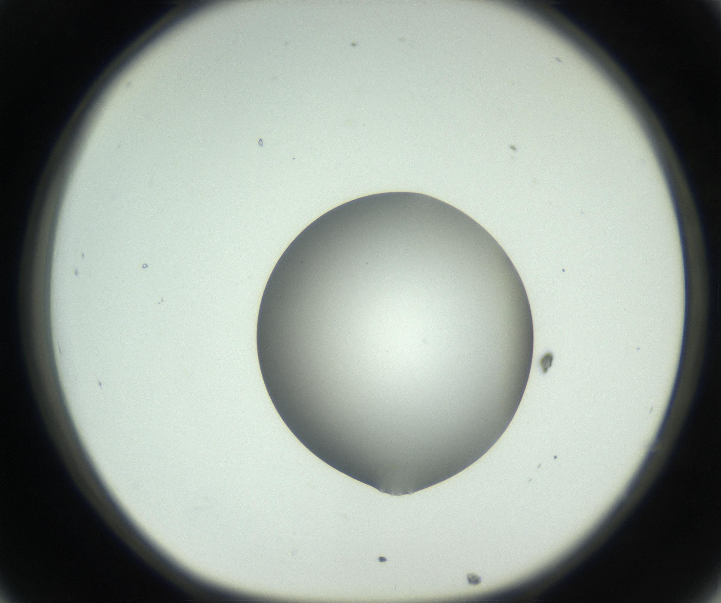 RI01_03_000_0212_Proj1_Clon1_MC_0000MC102746_005_160927_08_03_01_00_99_002_001_RAI.jpg