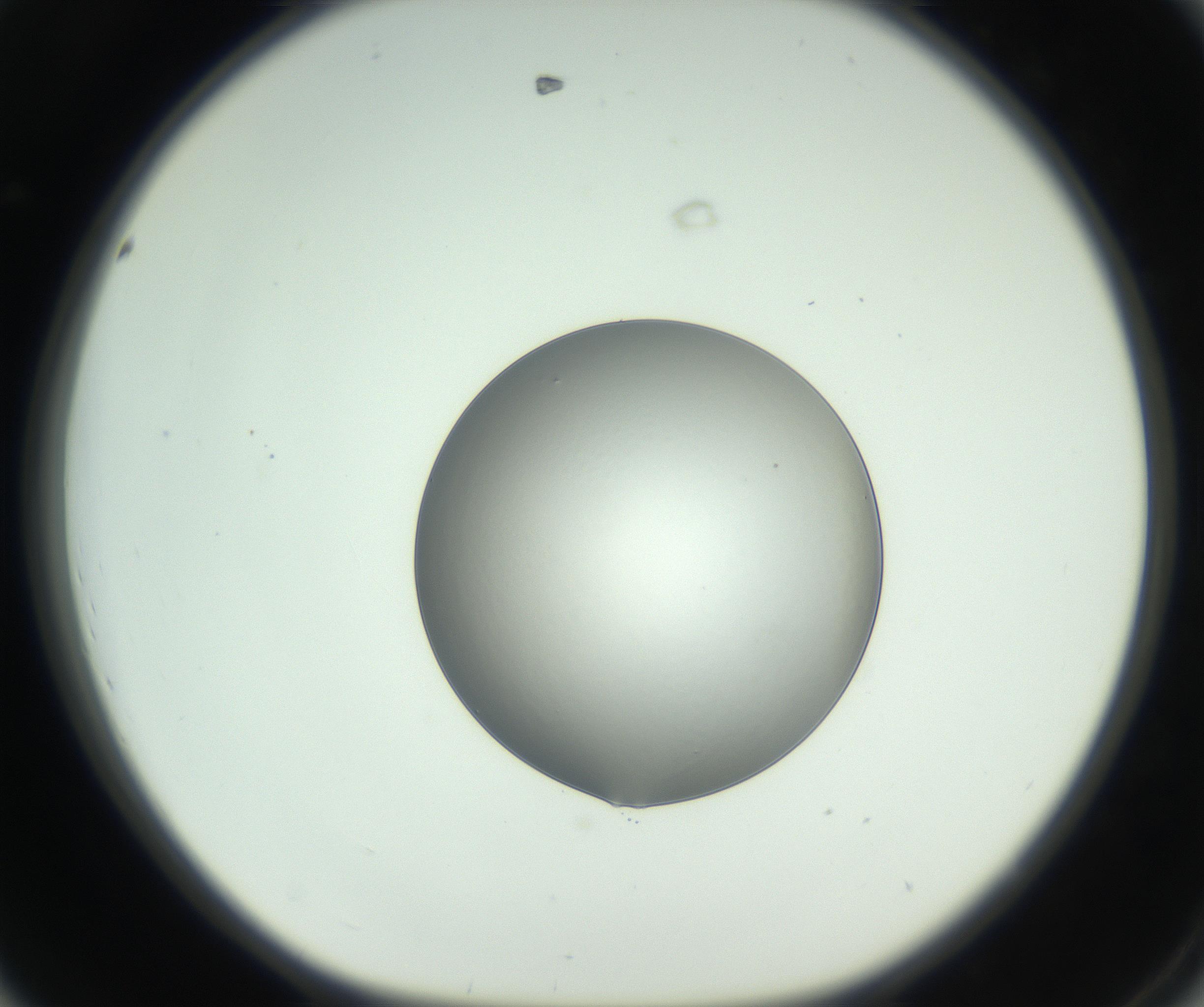 RI01_03_000_0212_Proj1_Clon1_MC_0000MC102746_005_160927_08_04_01_00_99_002_001_RAI.jpg