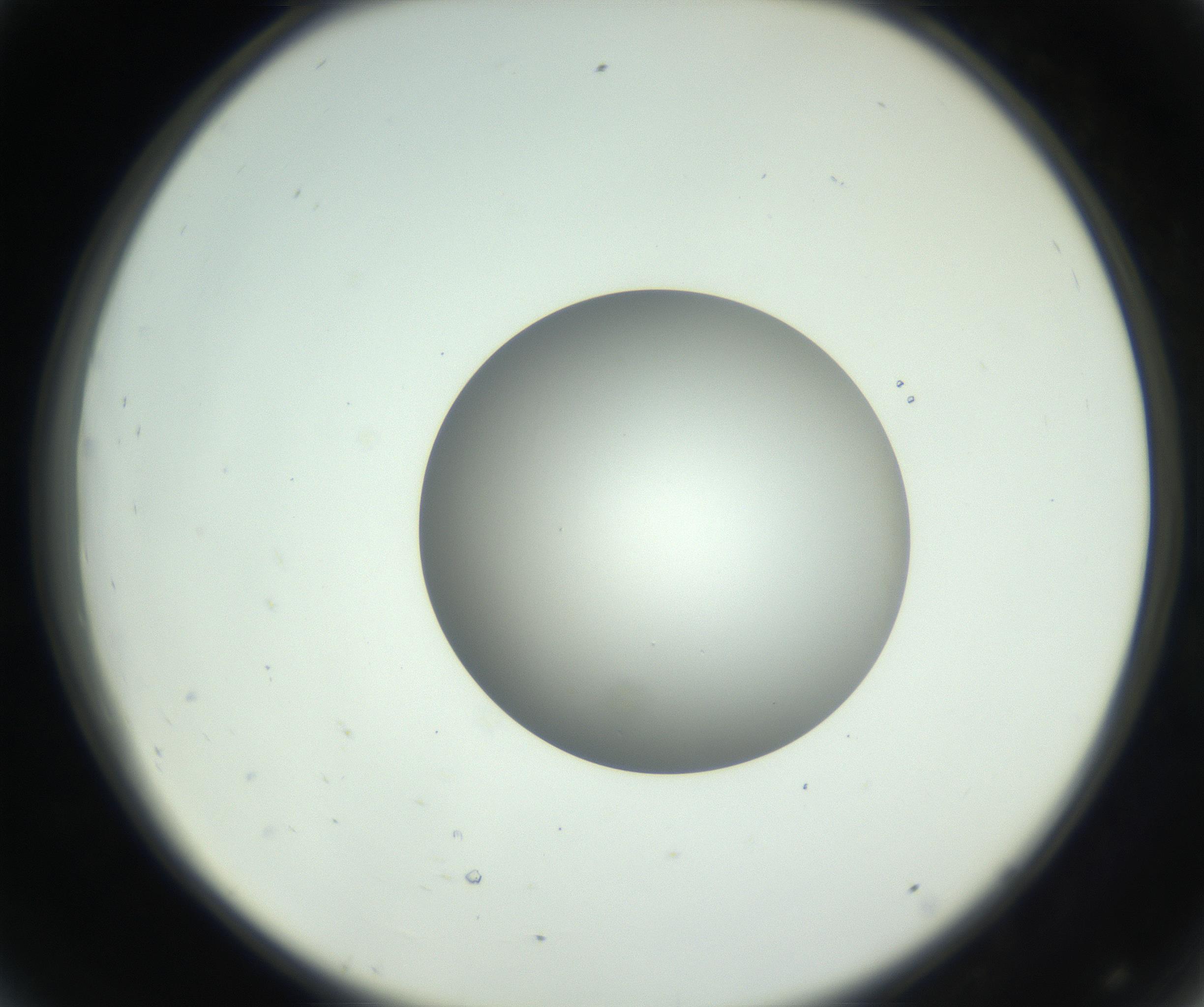 RI01_03_000_0212_Proj1_Clon1_MC_0000MC102746_005_160927_08_04_02_00_99_002_001_RAI.jpg