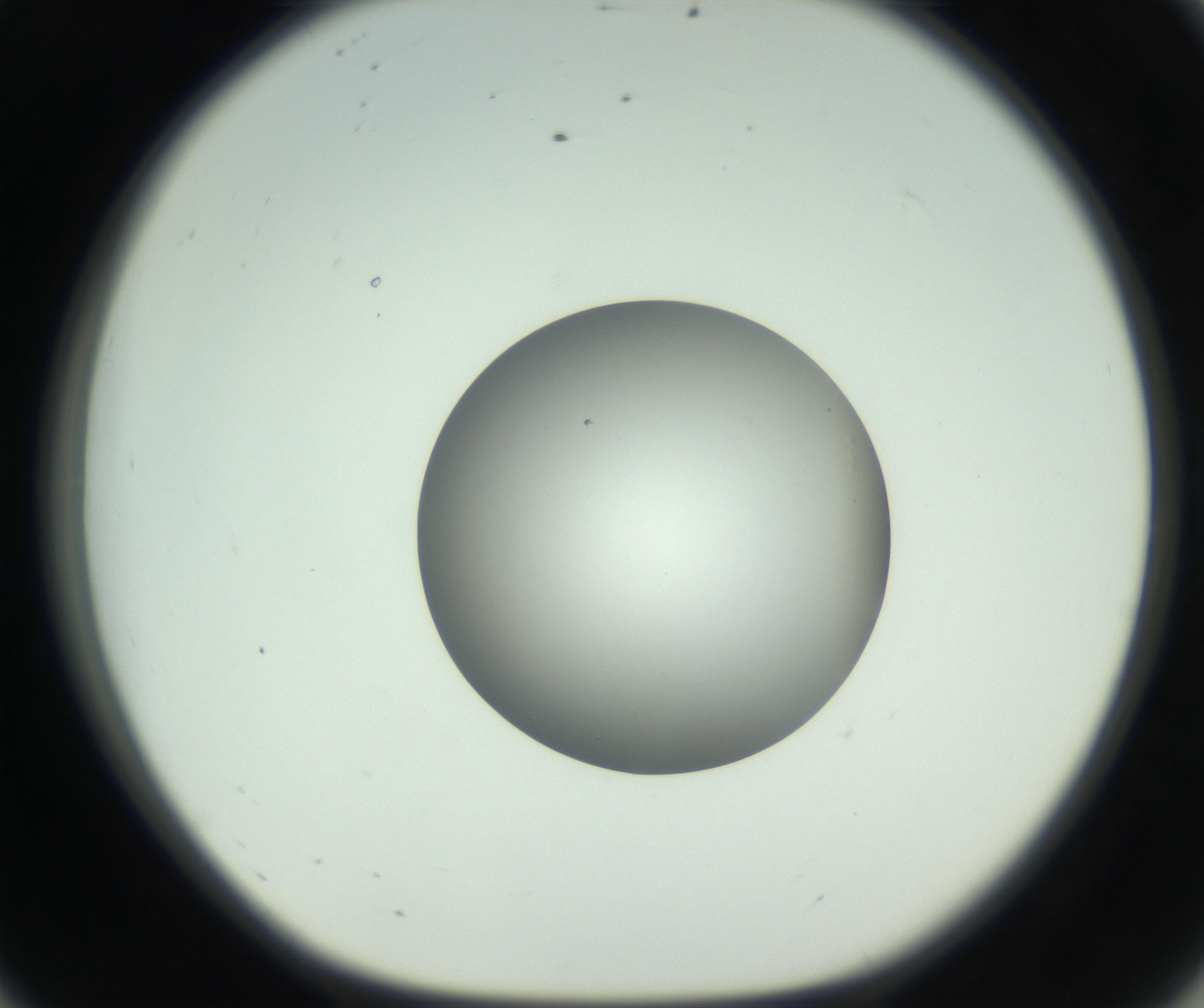 RI01_03_000_0212_Proj1_Clon1_MC_0000MC102746_005_160927_08_05_01_00_99_002_001_RAI.jpg