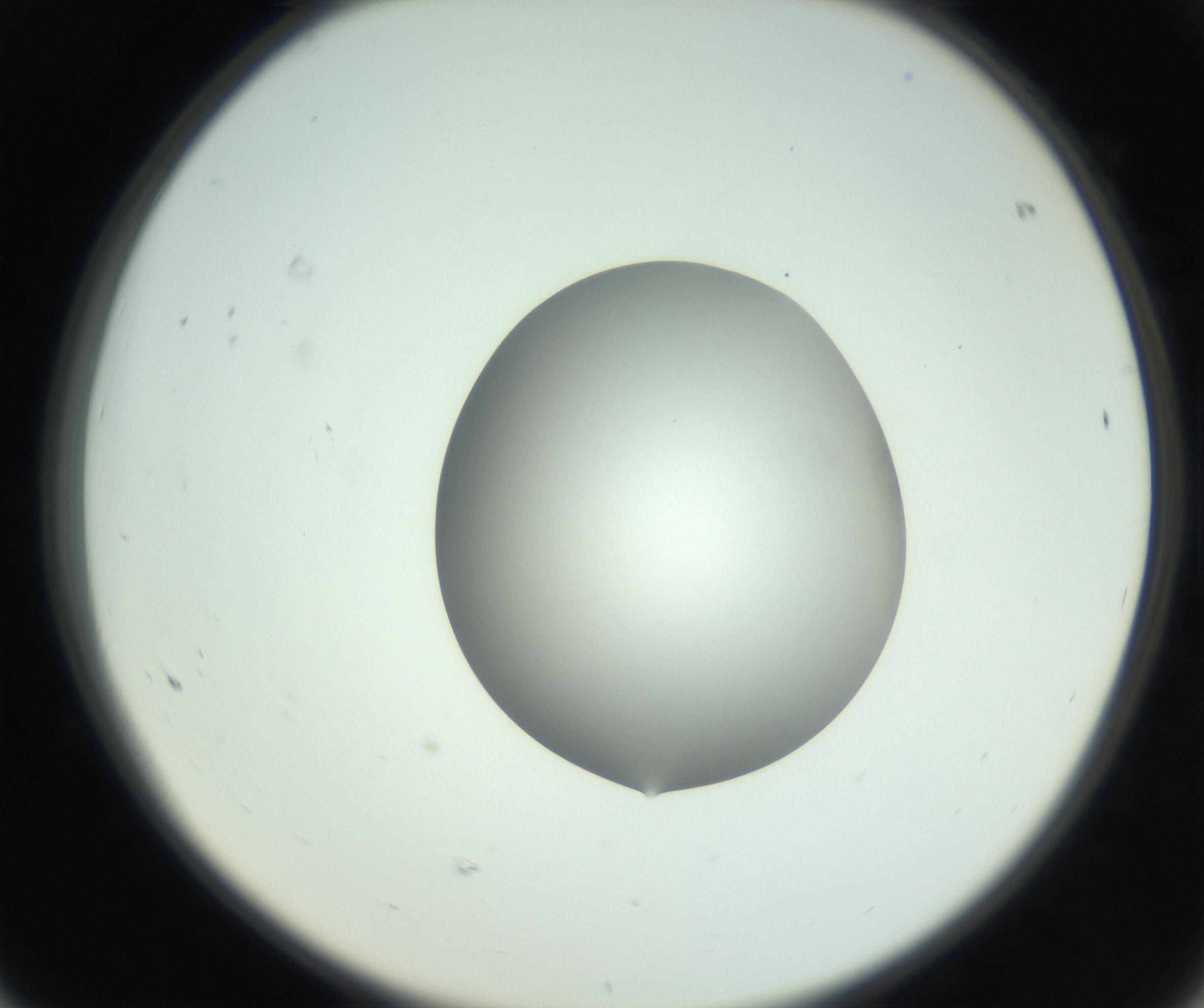 RI01_03_000_0212_Proj1_Clon1_MC_0000MC102746_005_160927_08_06_02_00_99_002_001_RAI.jpg