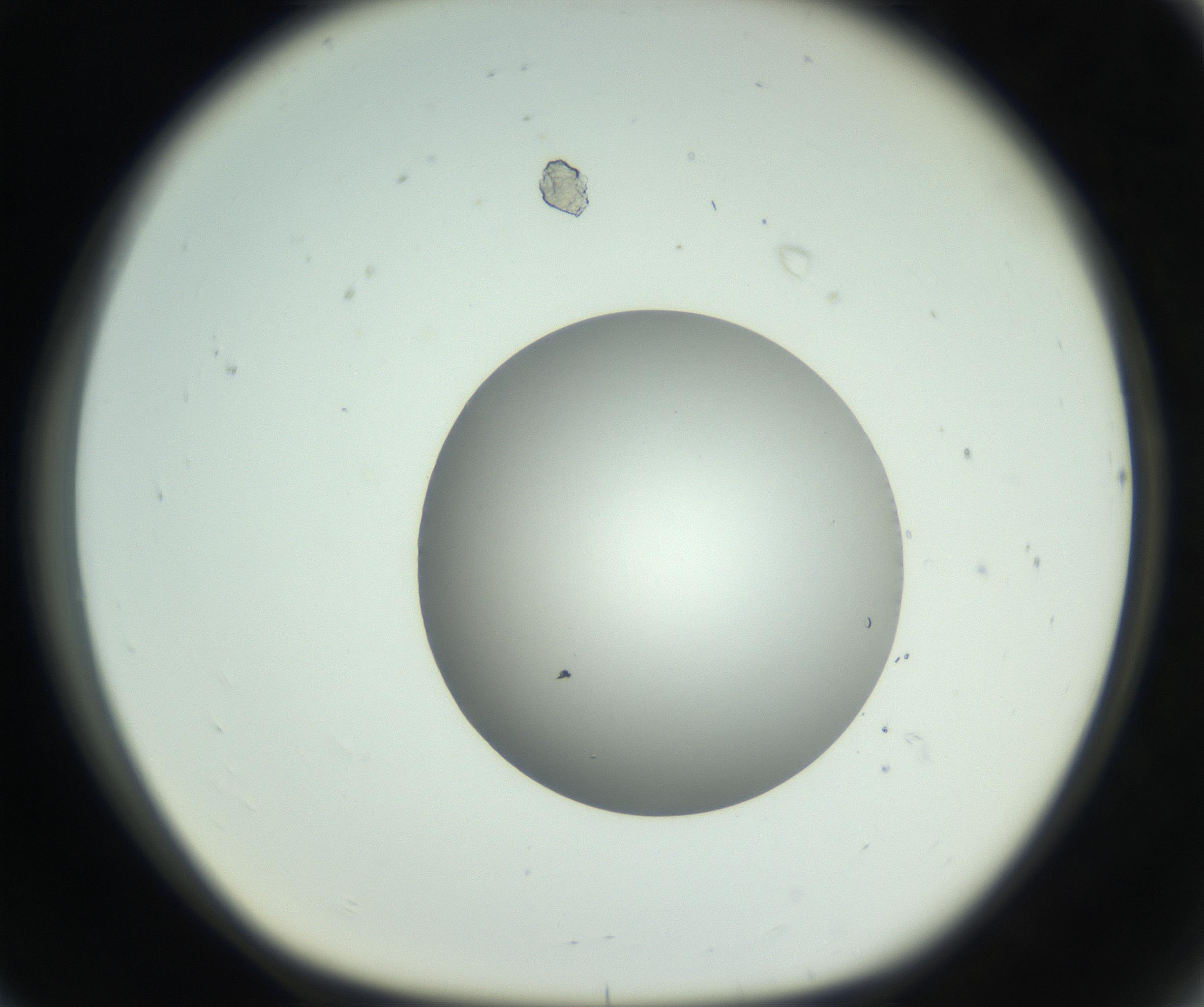 RI01_03_000_0212_Proj1_Clon1_MC_0000MC102746_005_160927_08_07_01_00_99_002_001_RAI.jpg