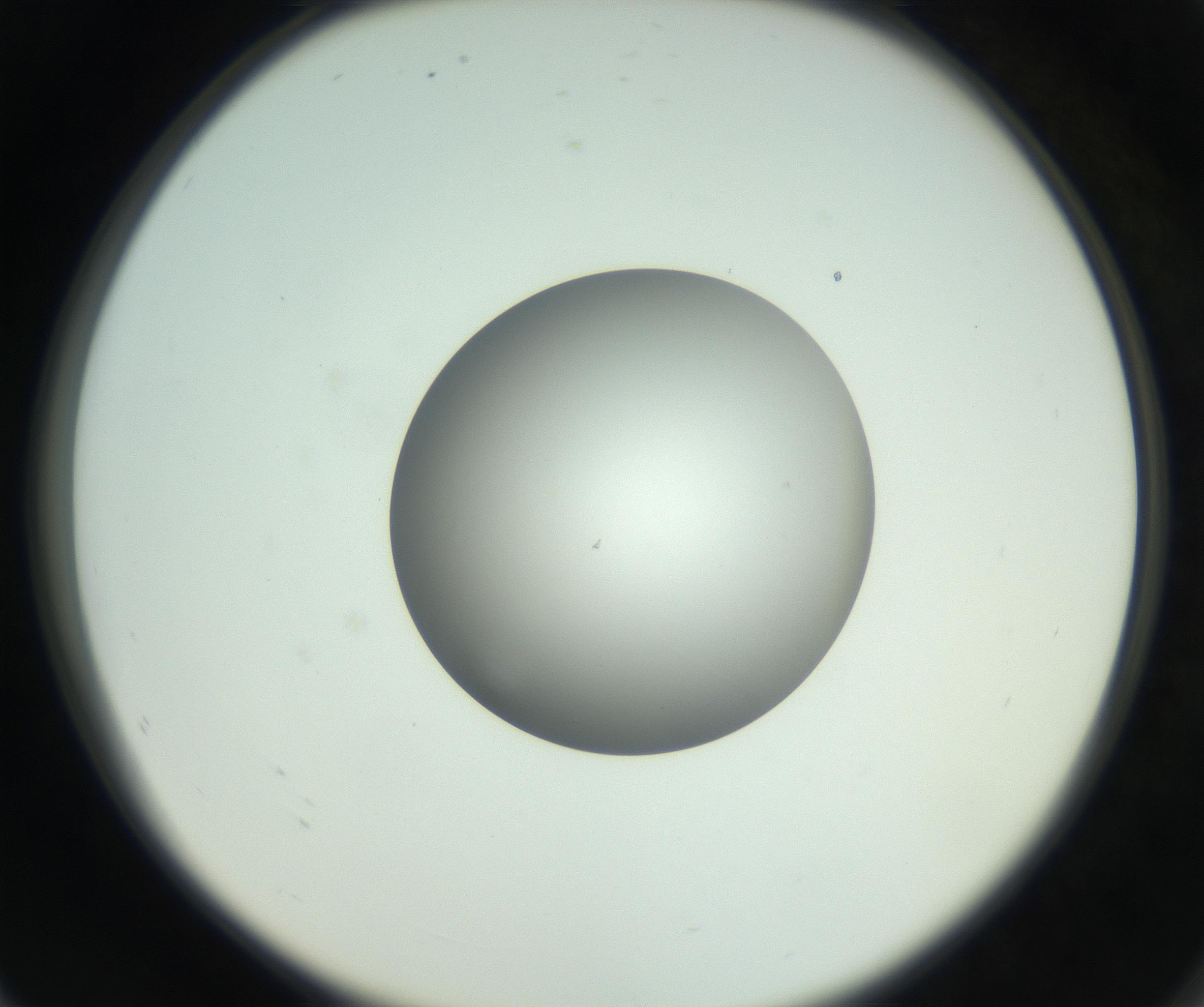 RI01_03_000_0212_Proj1_Clon1_MC_0000MC102746_005_160927_08_07_02_00_99_002_001_RAI.jpg