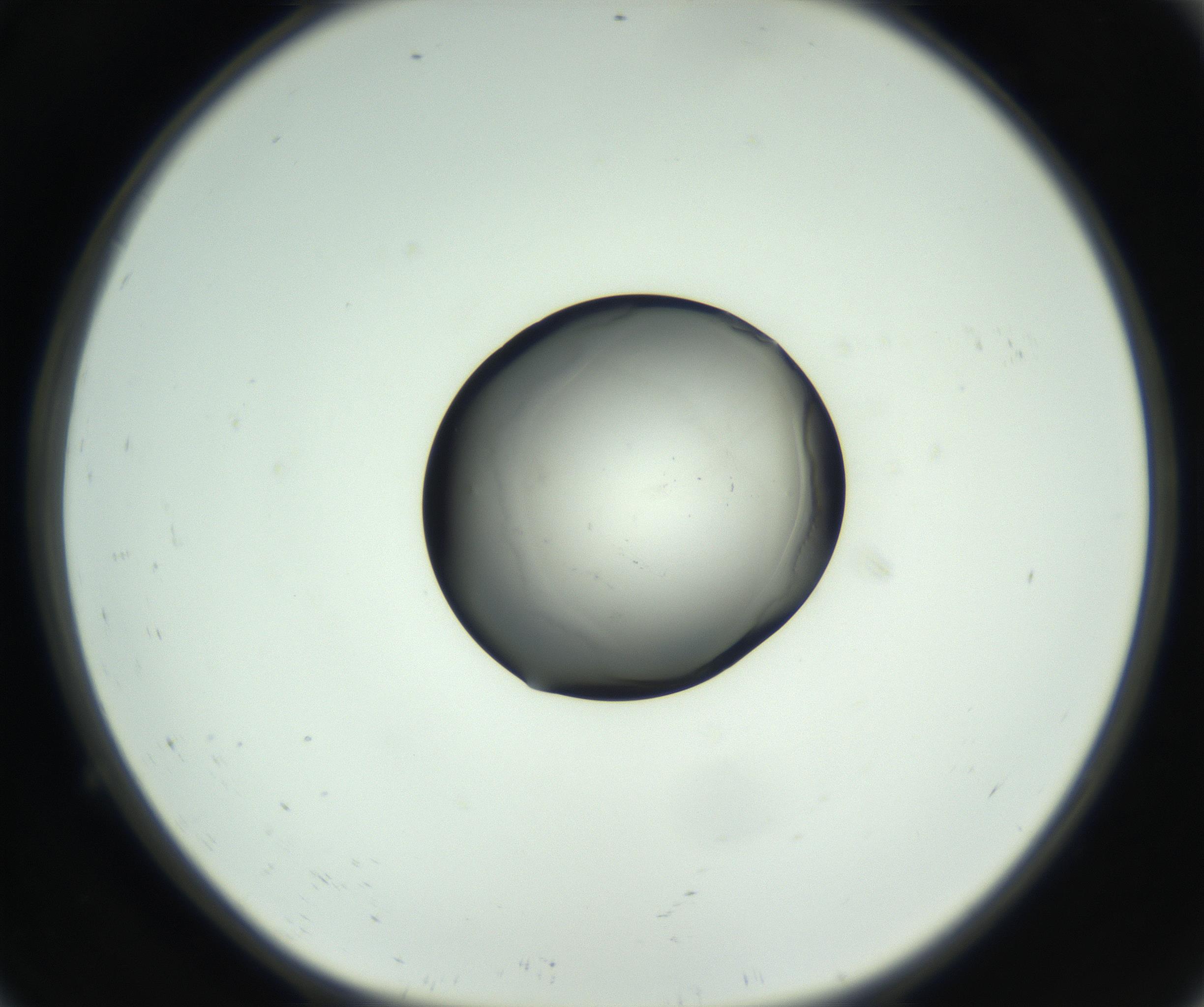 RI01_03_000_0212_Proj1_Clon1_MC_0000MC102746_005_160927_09_01_01_00_99_002_001_RAI.jpg