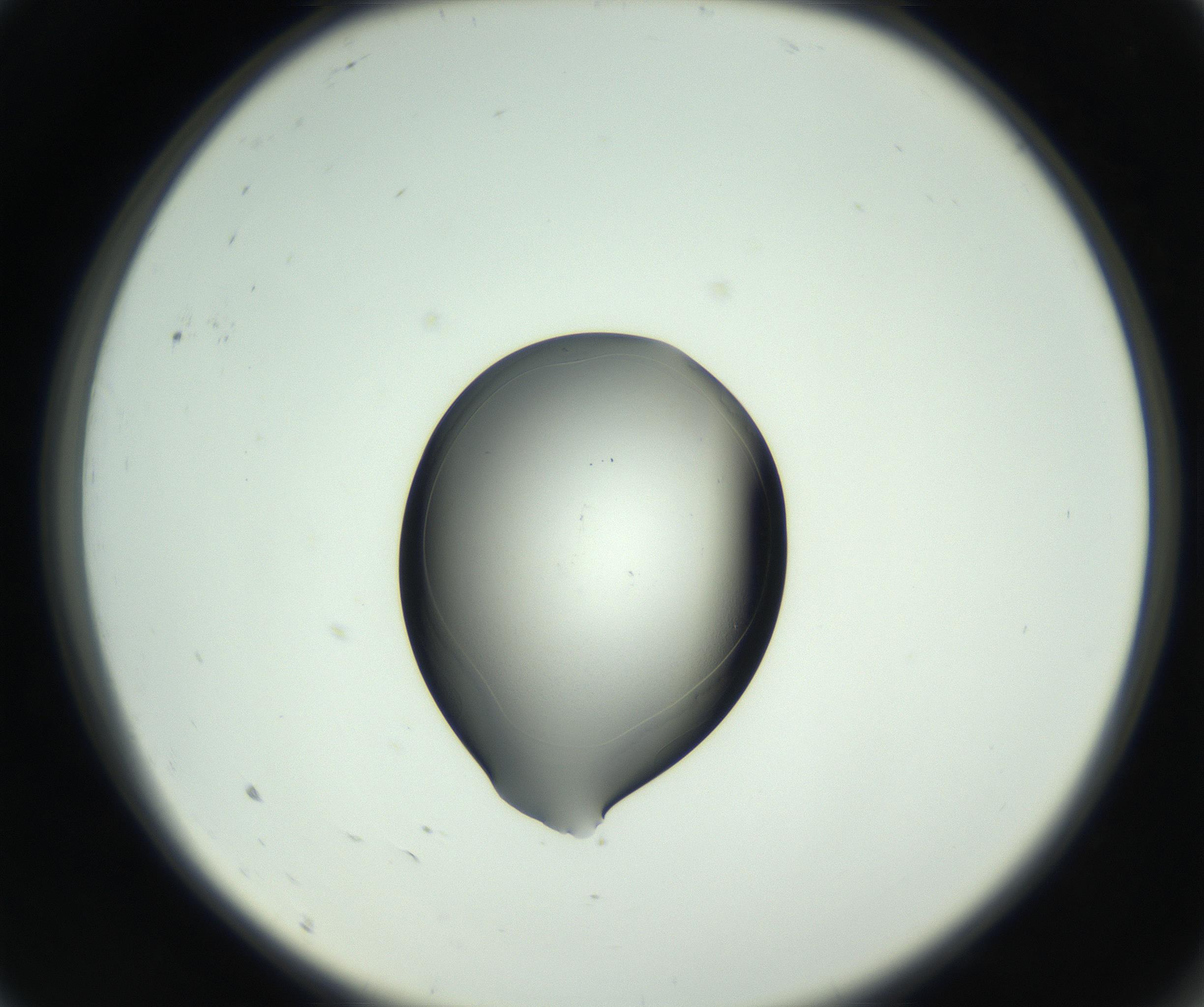RI01_03_000_0212_Proj1_Clon1_MC_0000MC102746_005_160927_09_01_02_00_99_002_001_RAI.jpg