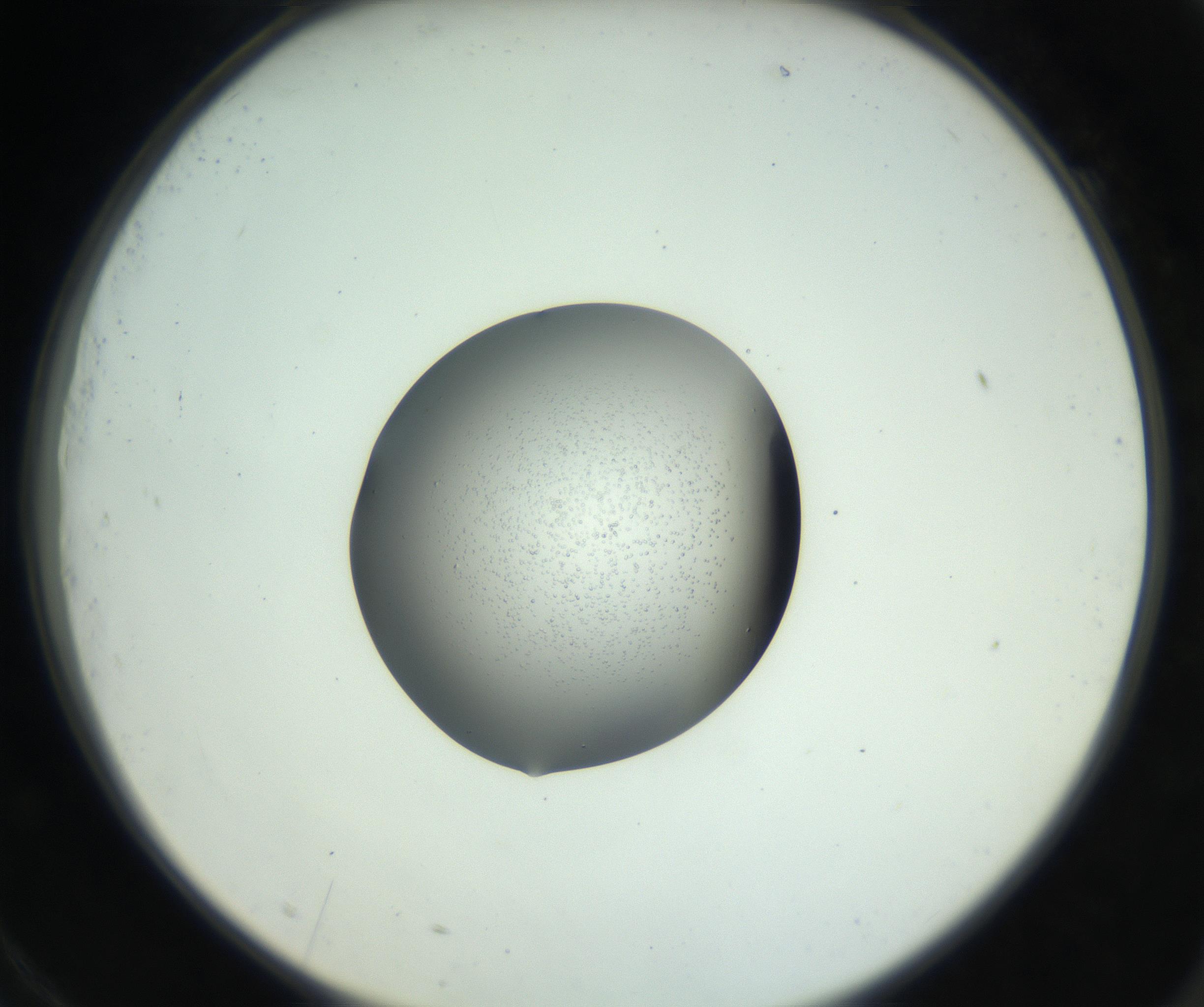 RI01_03_000_0212_Proj1_Clon1_MC_0000MC102746_005_160927_09_07_02_00_99_002_001_RAI.jpg